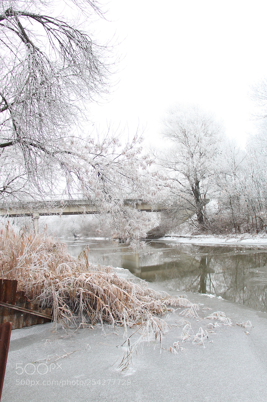 Canon EOS 700D (EOS Rebel T5i / EOS Kiss X7i) sample photo. Img photography