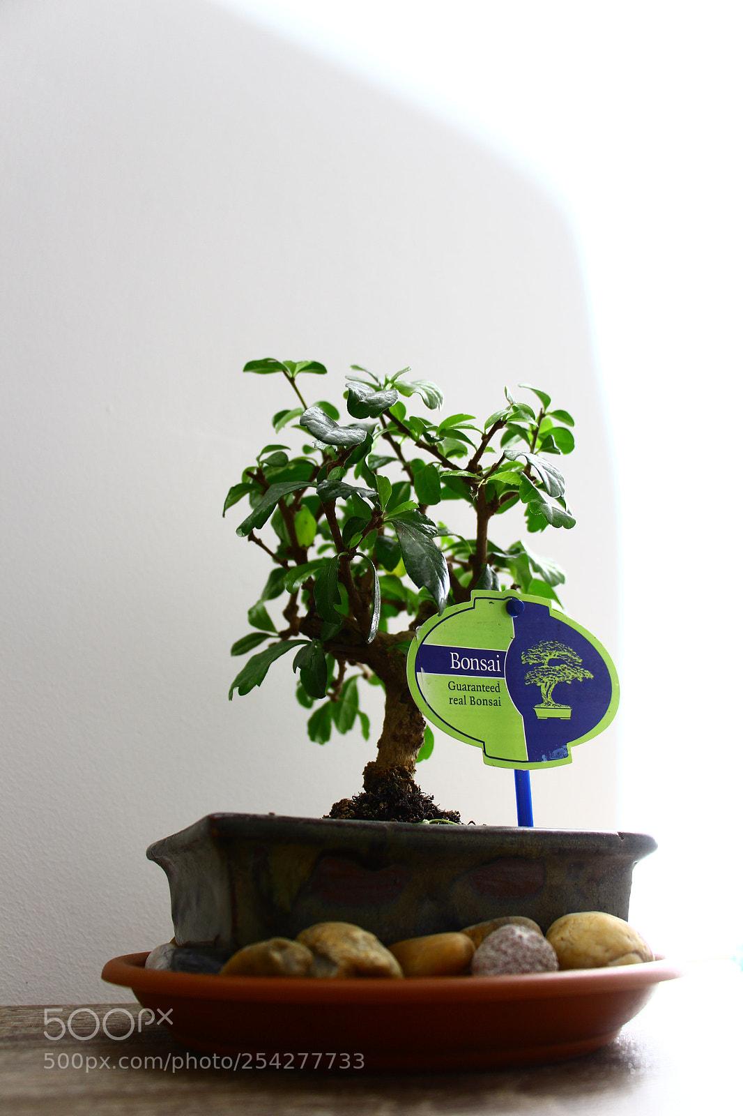 Canon EOS 700D (EOS Rebel T5i / EOS Kiss X7i) sample photo. Img photography
