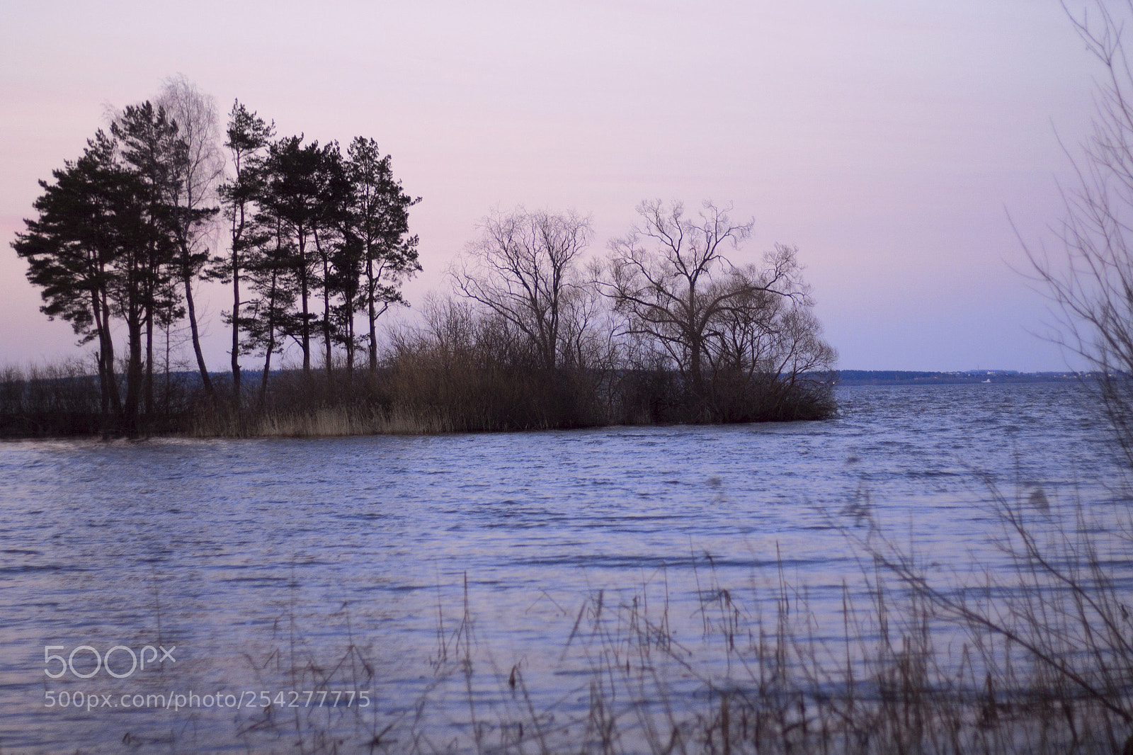 Canon EOS 1100D (EOS Rebel T3 / EOS Kiss X50) sample photo. Near the miensk sea photography