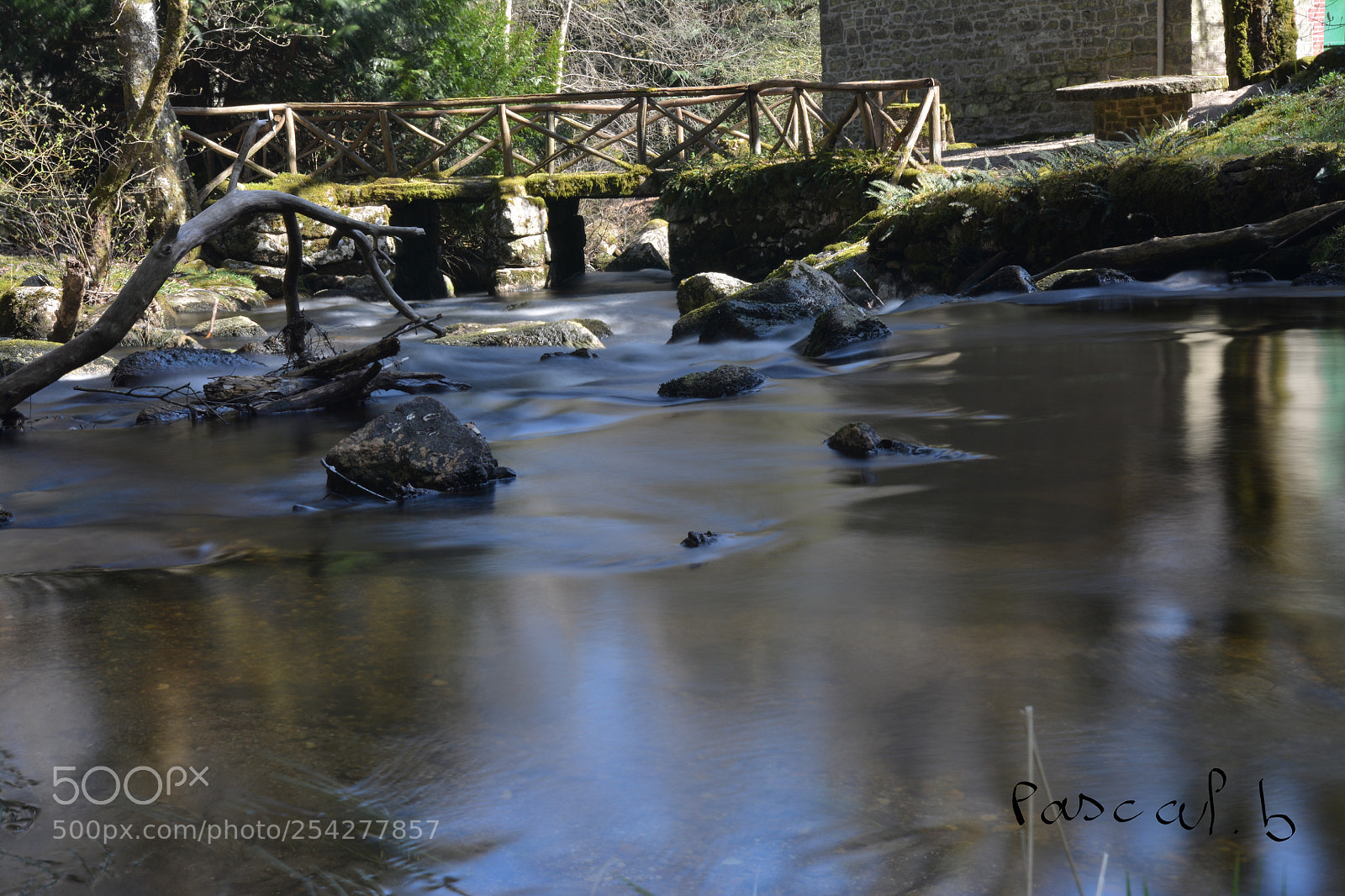 Nikon D7100 sample photo. Untitled photography