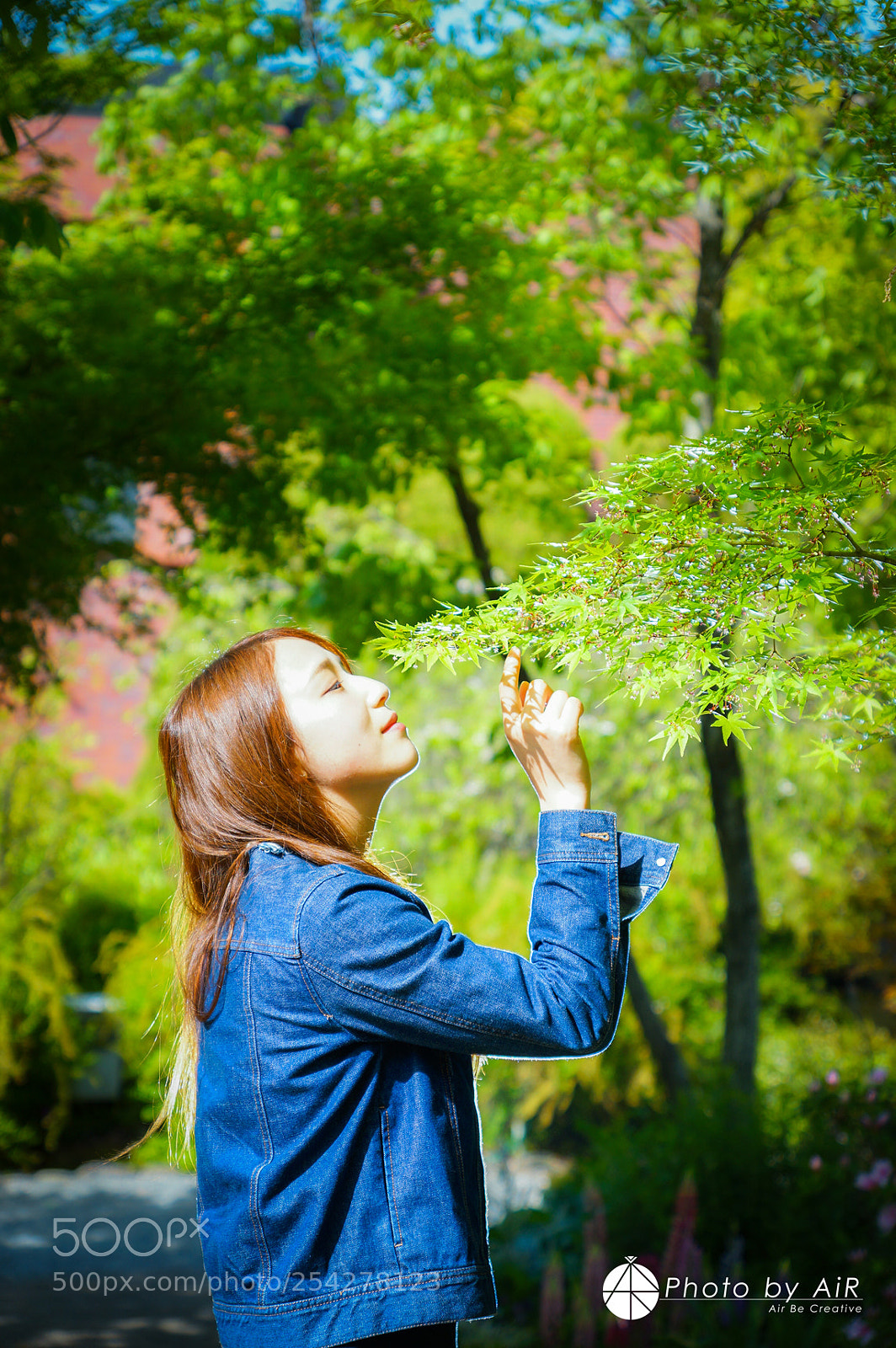 Sony SLT-A77 sample photo. Spring time photography