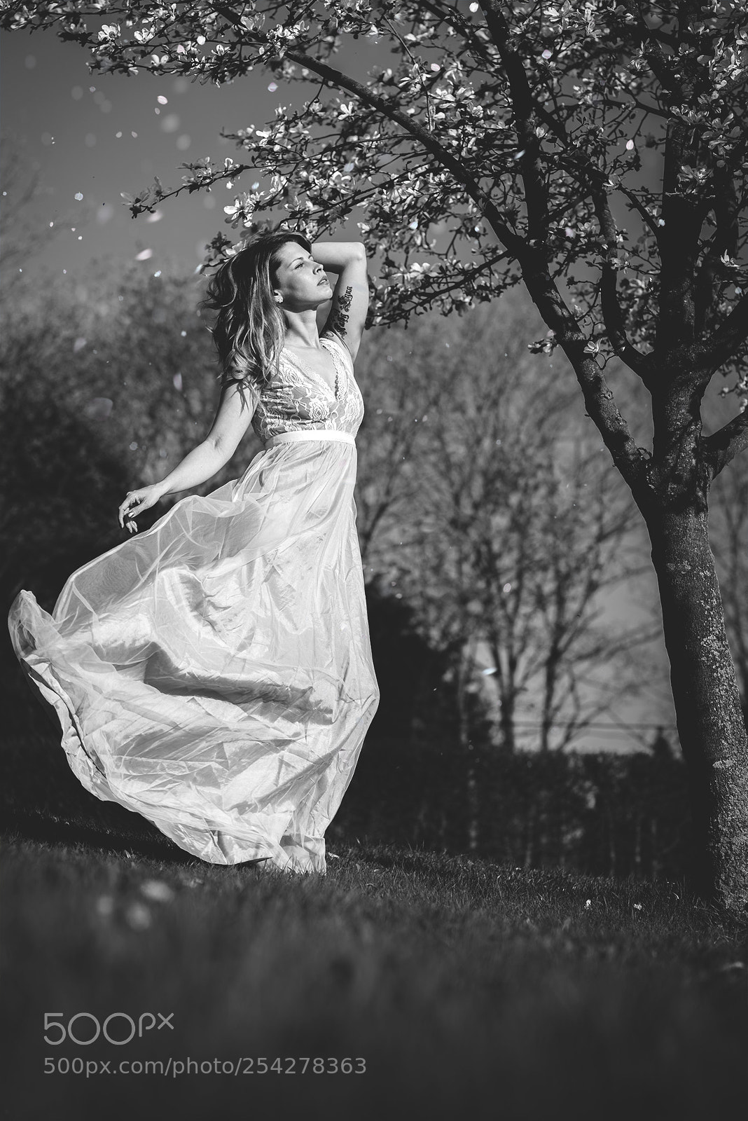 Sony a7R sample photo. Pearl photography