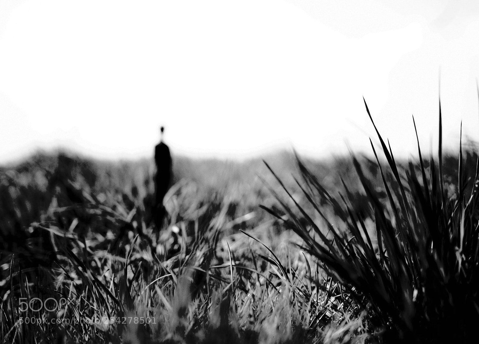 Nikon D300S sample photo. Dehnung photography