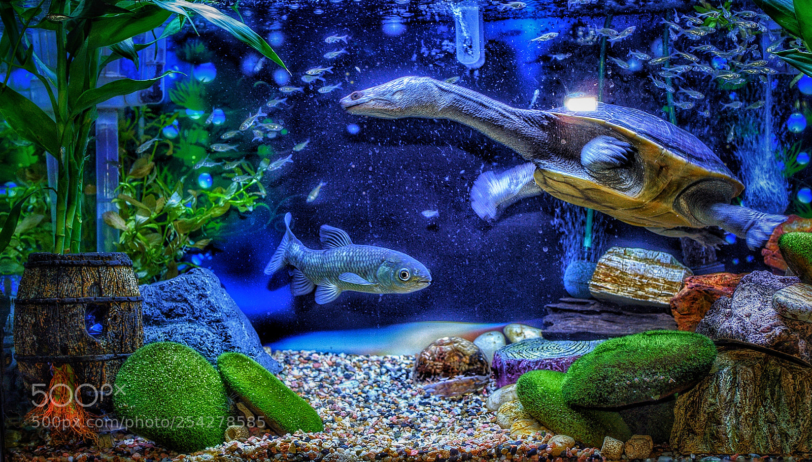 Nikon D700 sample photo. Water games photography