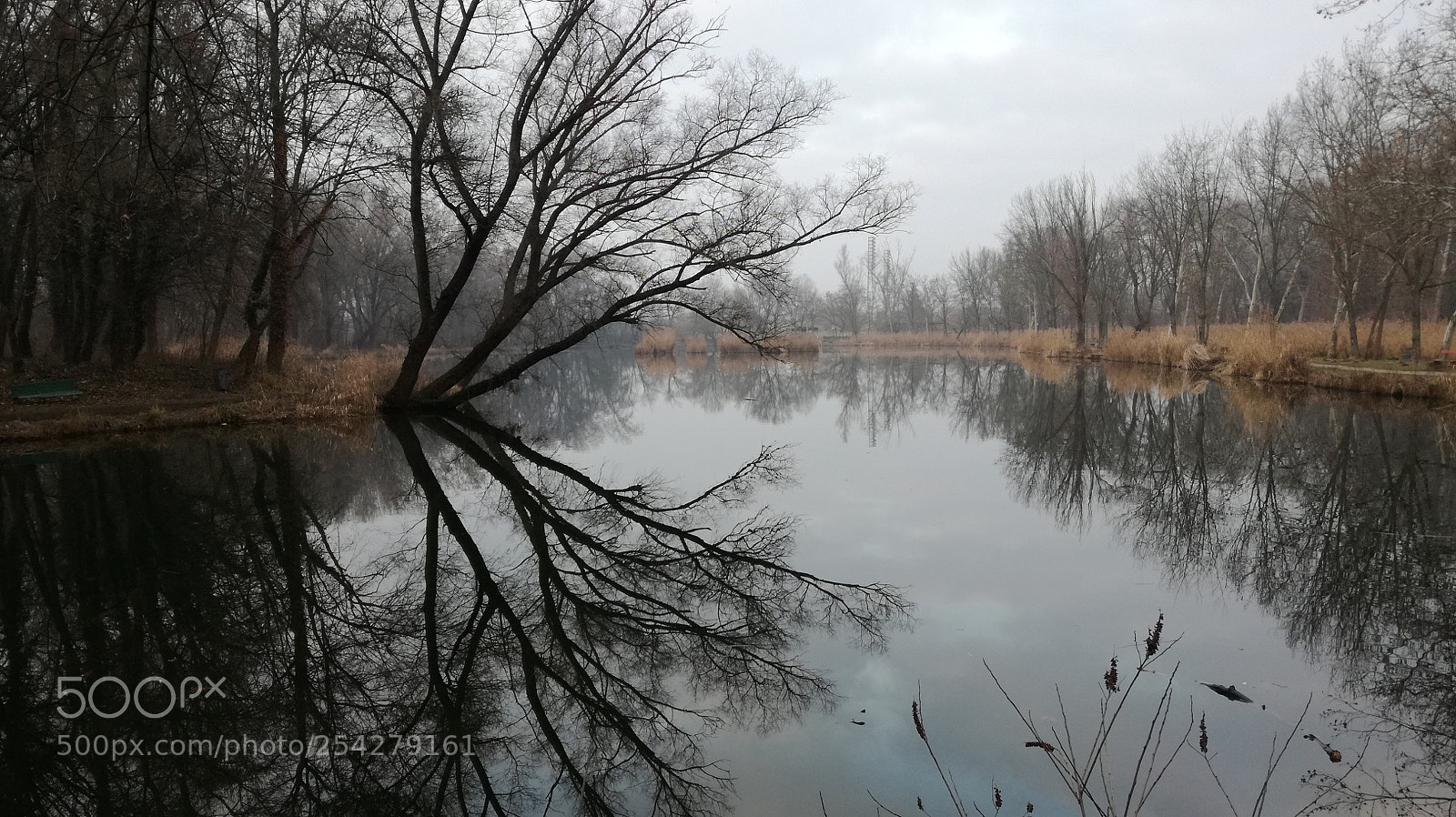 HUAWEI P9 LITE sample photo. Természet photography