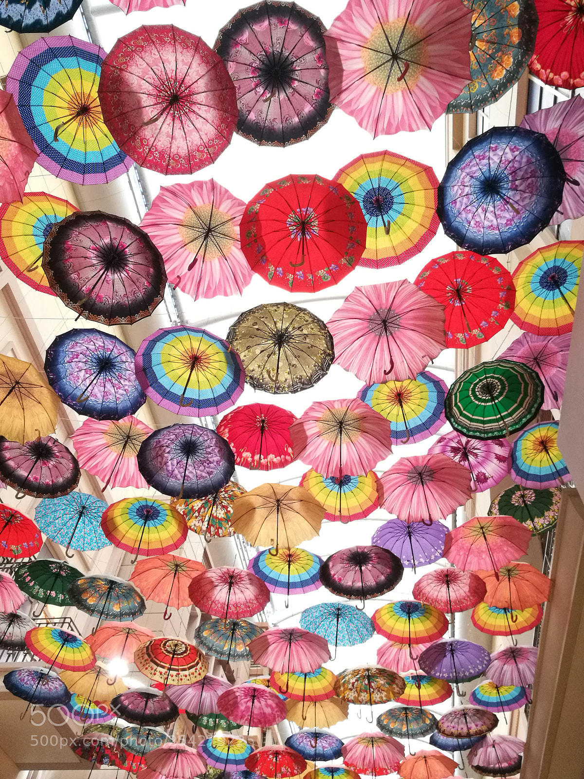 HUAWEI Honor 8 sample photo. Untitled photography