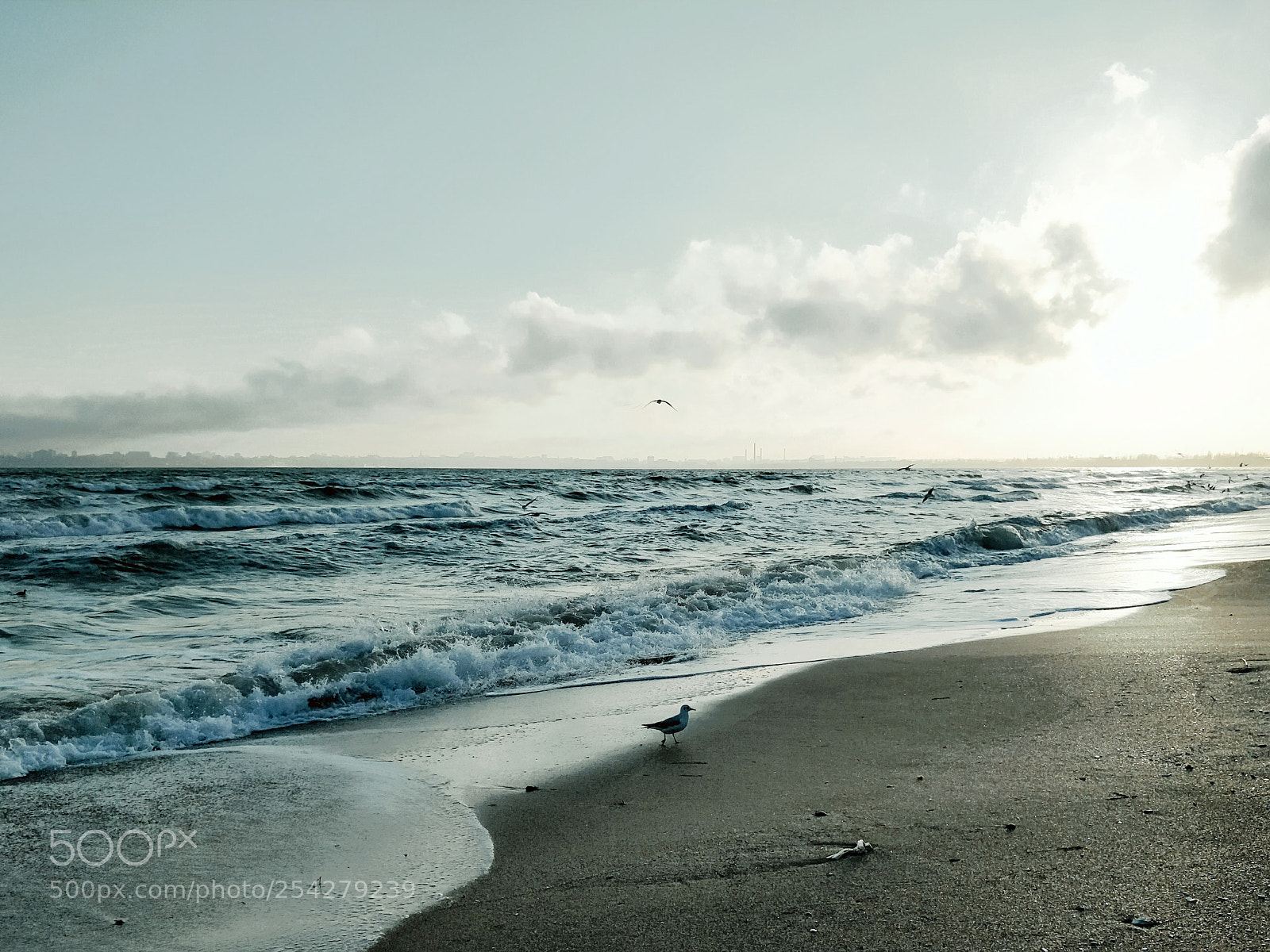 OnePlus 5T sample photo. Black sea scape photography
