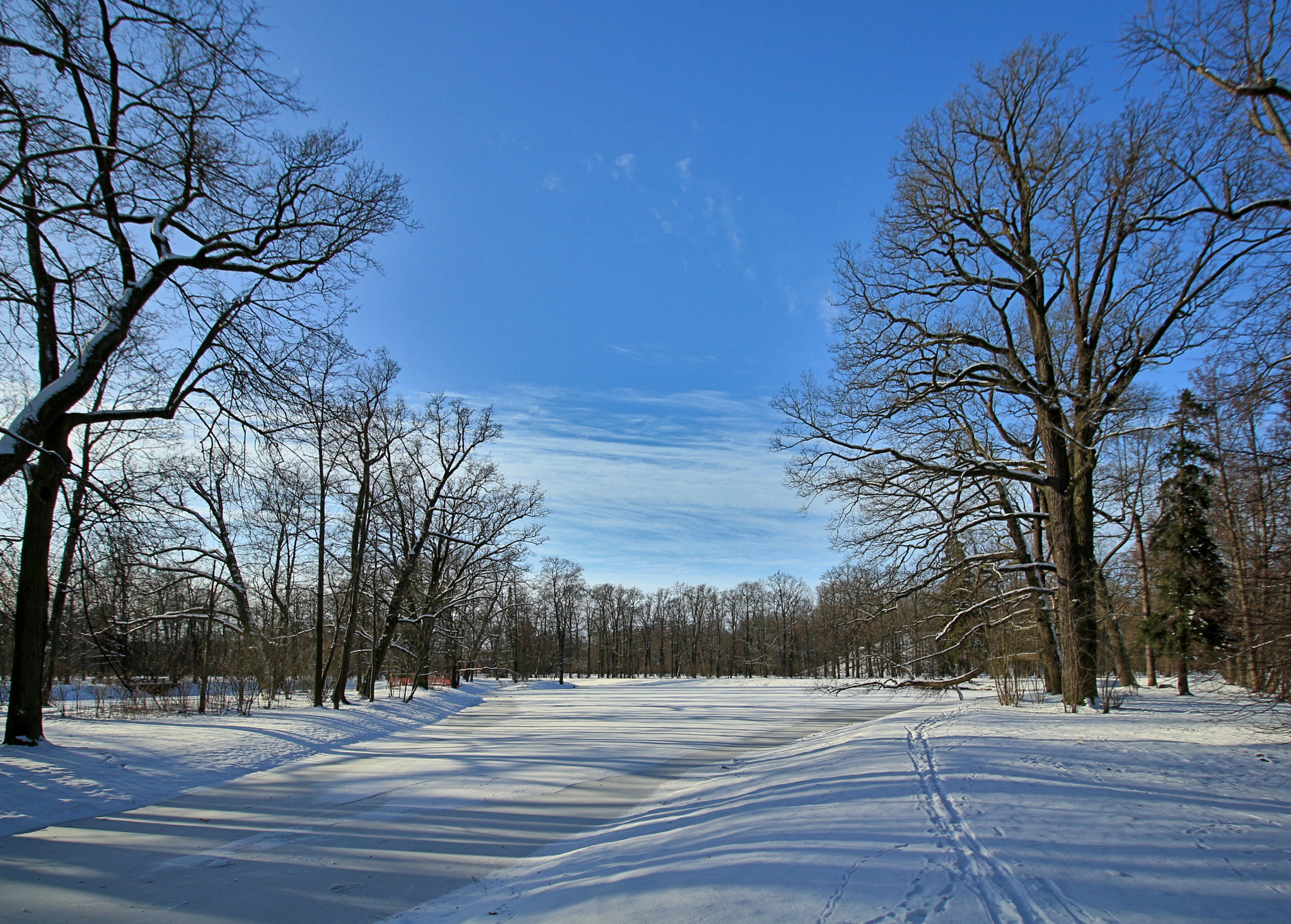 Canon EOS 650D (EOS Rebel T4i / EOS Kiss X6i) sample photo. Alexsandrovskiy park photography