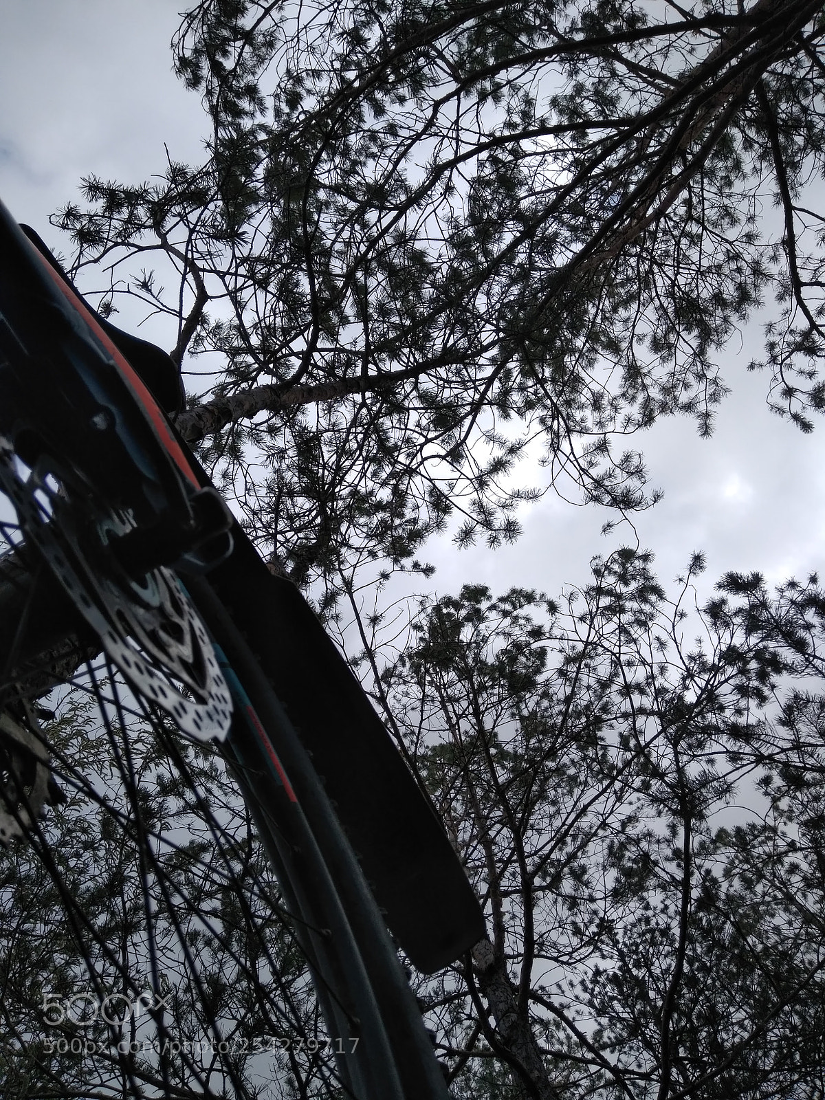 Xiaomi Redmi 4 Pro sample photo. Img_20180419_100520.jpg photography