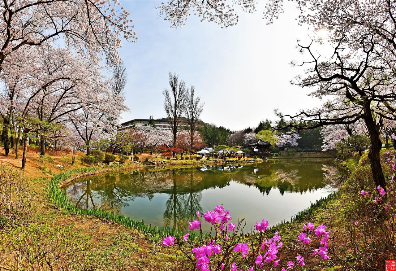 Samyang 12mm F2.8 ED AS NCS Fisheye sample photo. Springtime photography