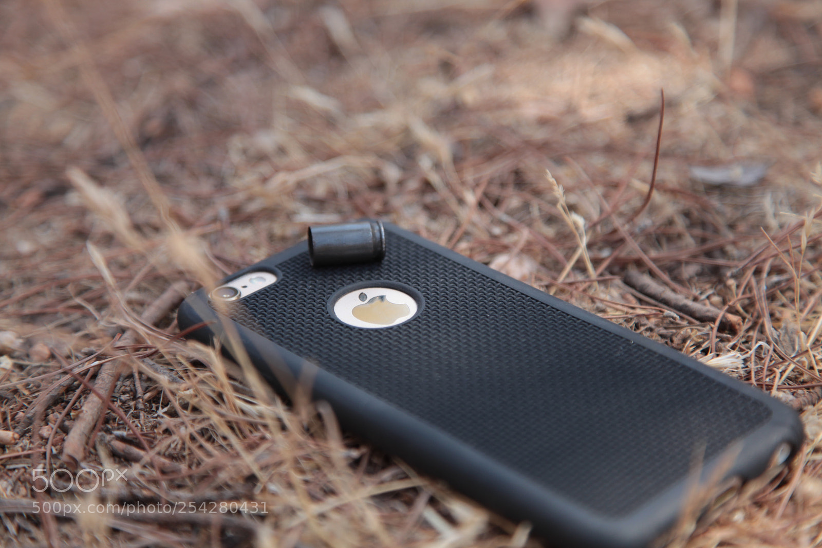 Canon EOS 5D Mark II sample photo. Untitled photography