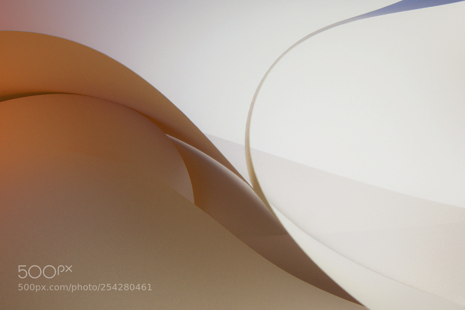 Nikon D810 sample photo. Laying down photography