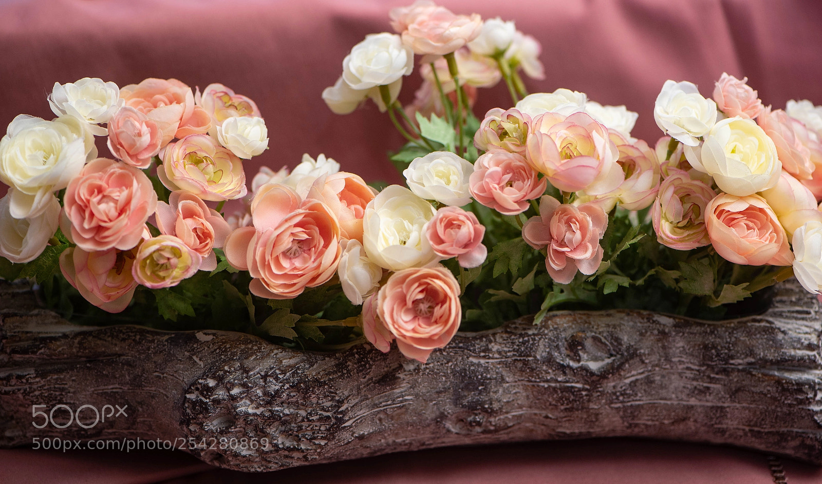 Nikon D5 sample photo. 086.jpg photography