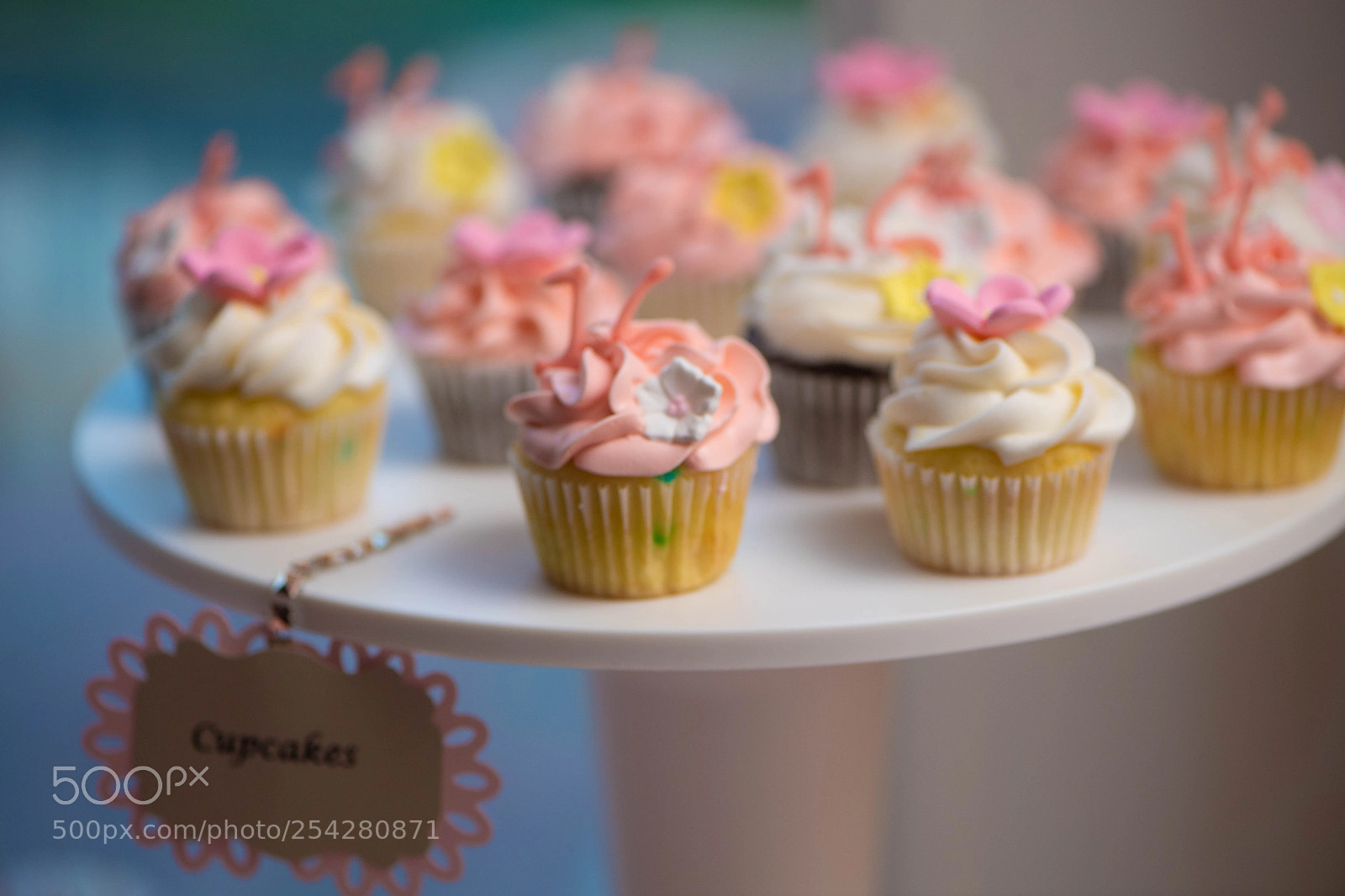 Nikon D5 sample photo. 087.jpg photography
