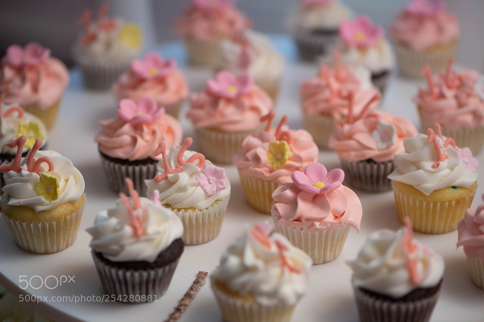 Nikon D5 sample photo. 089.jpg photography