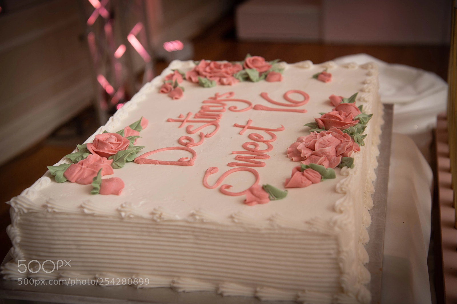 Nikon D5 sample photo. 098.jpg photography