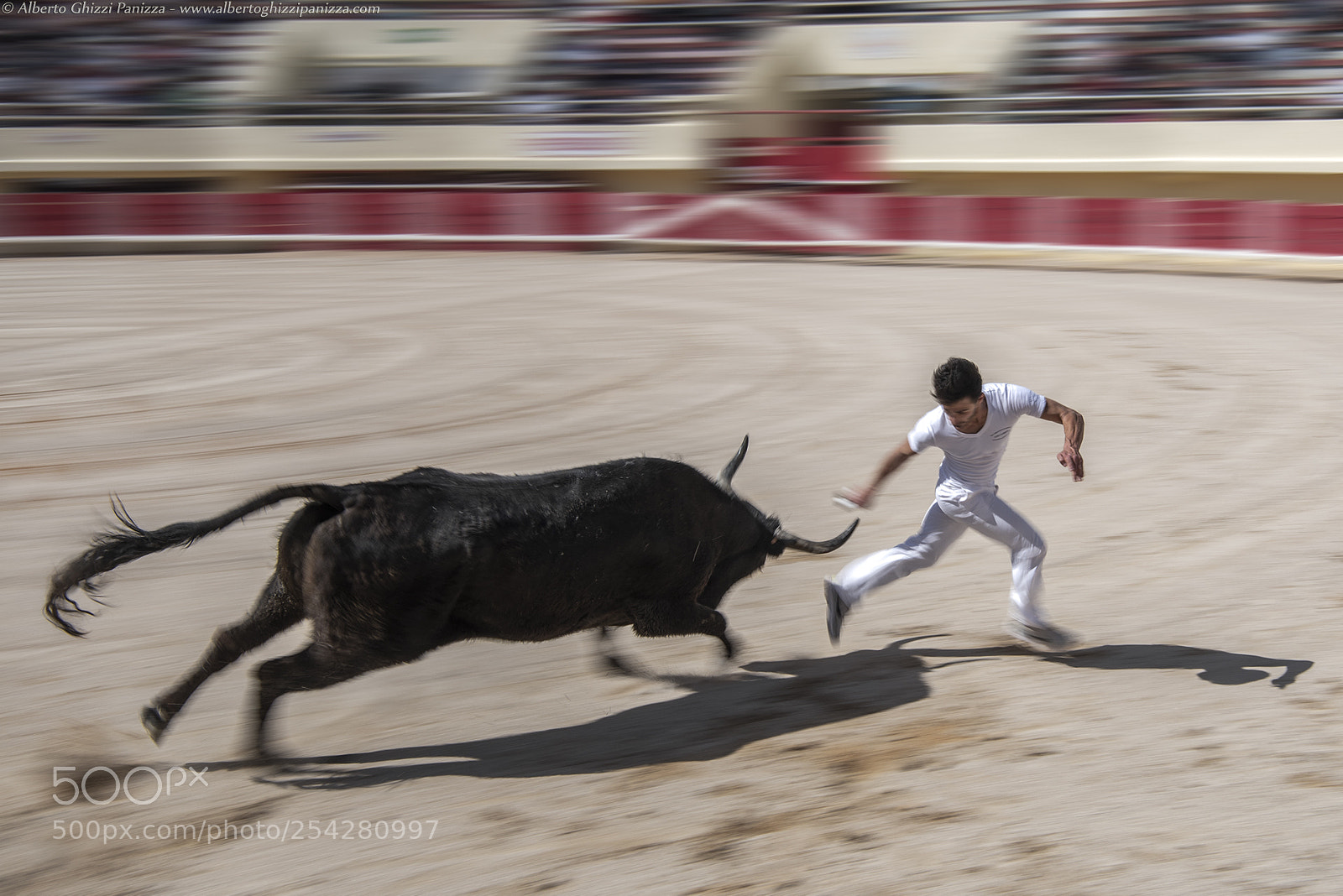 Nikon D810 sample photo. Strength and courage photography