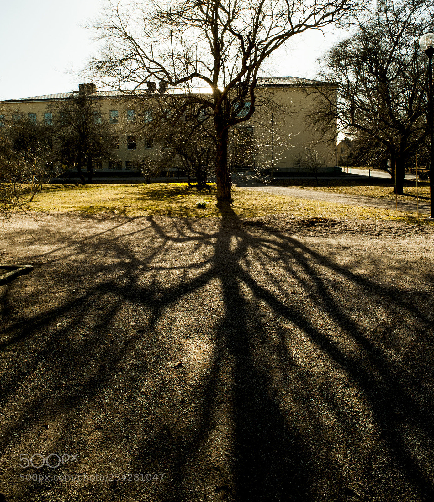 Nikon D700 sample photo. Standing in the cool photography