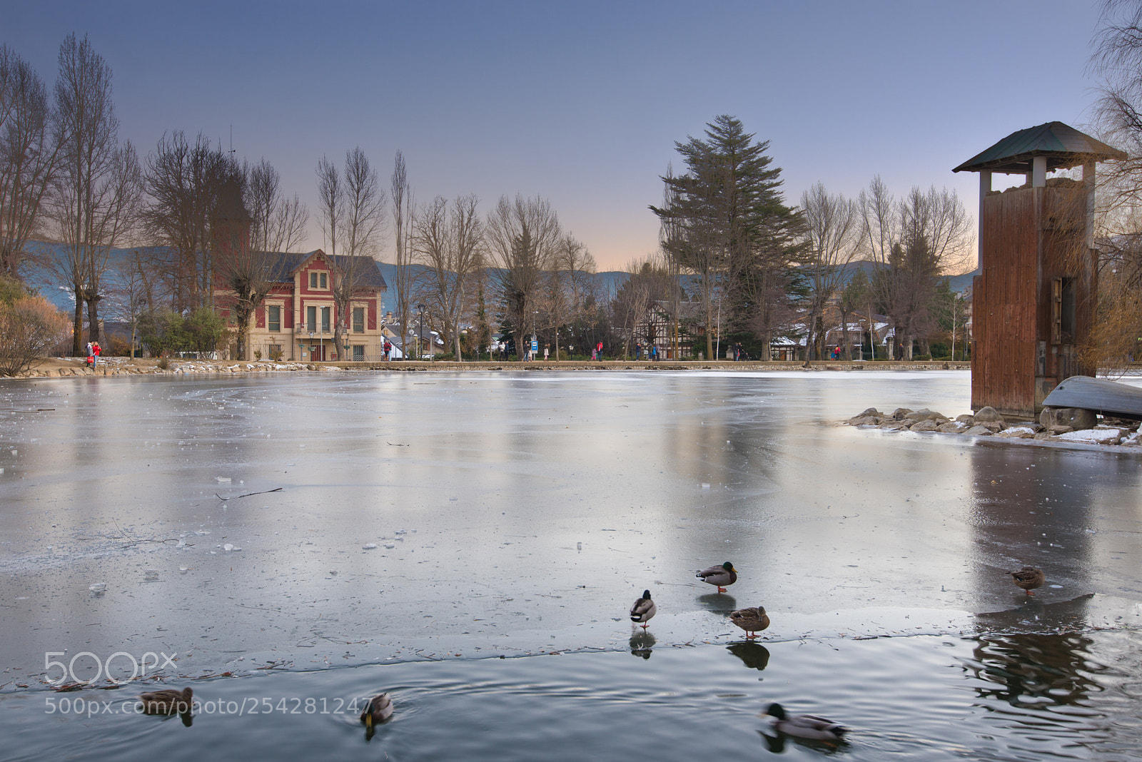 Nikon D610 sample photo. Thawing from an endless photography