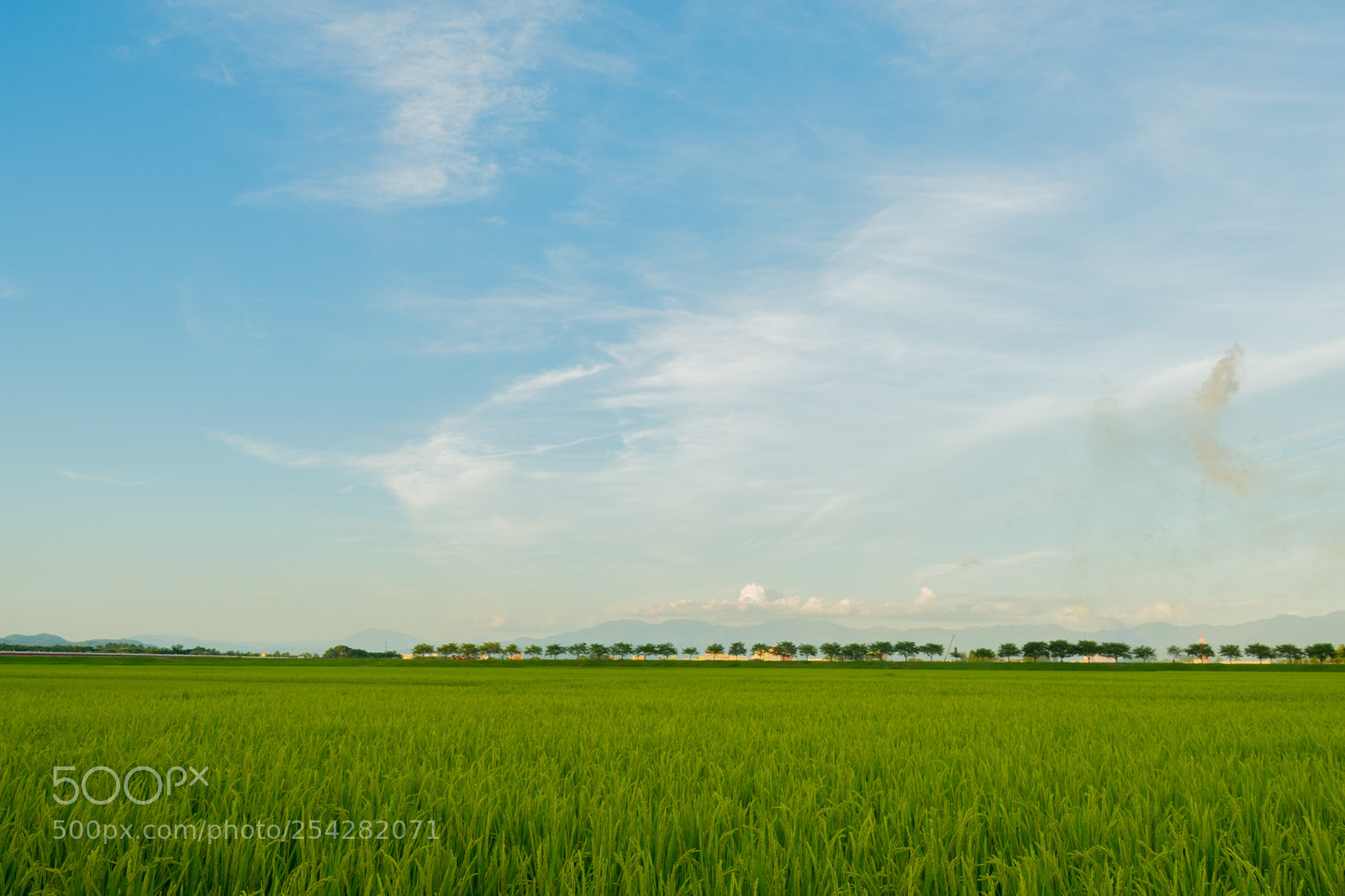 Sony a7 II sample photo. Beautiful landscape (japan) photography