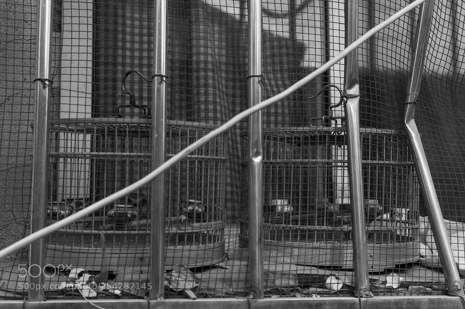 Leica M9 sample photo. Cages in cages photography