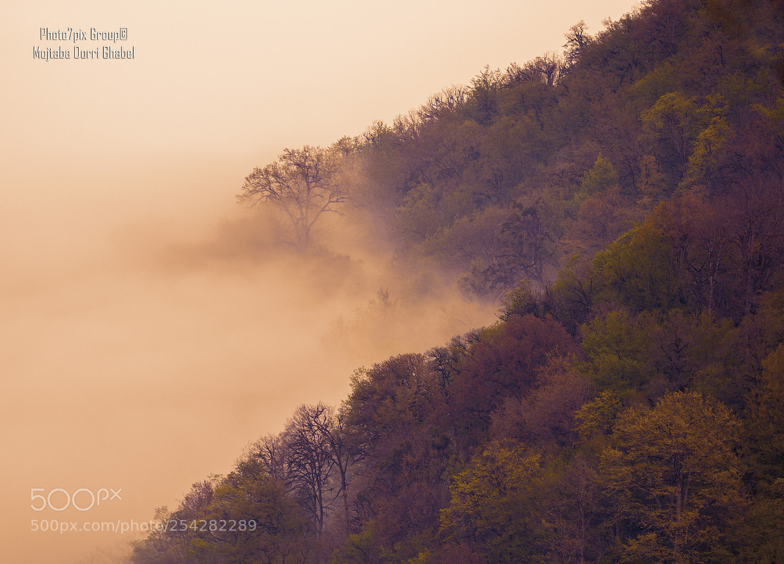 Canon EOS 70D sample photo. Fog photography