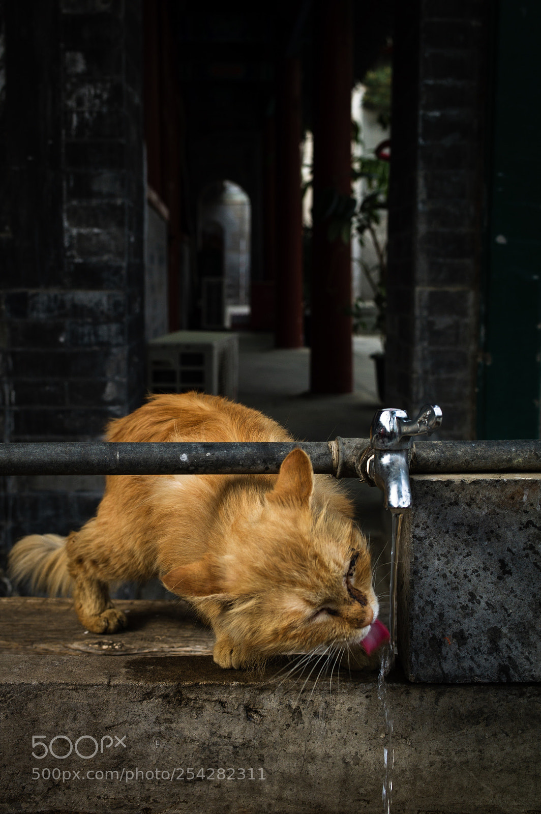 Leica M9 sample photo. Untitled photography