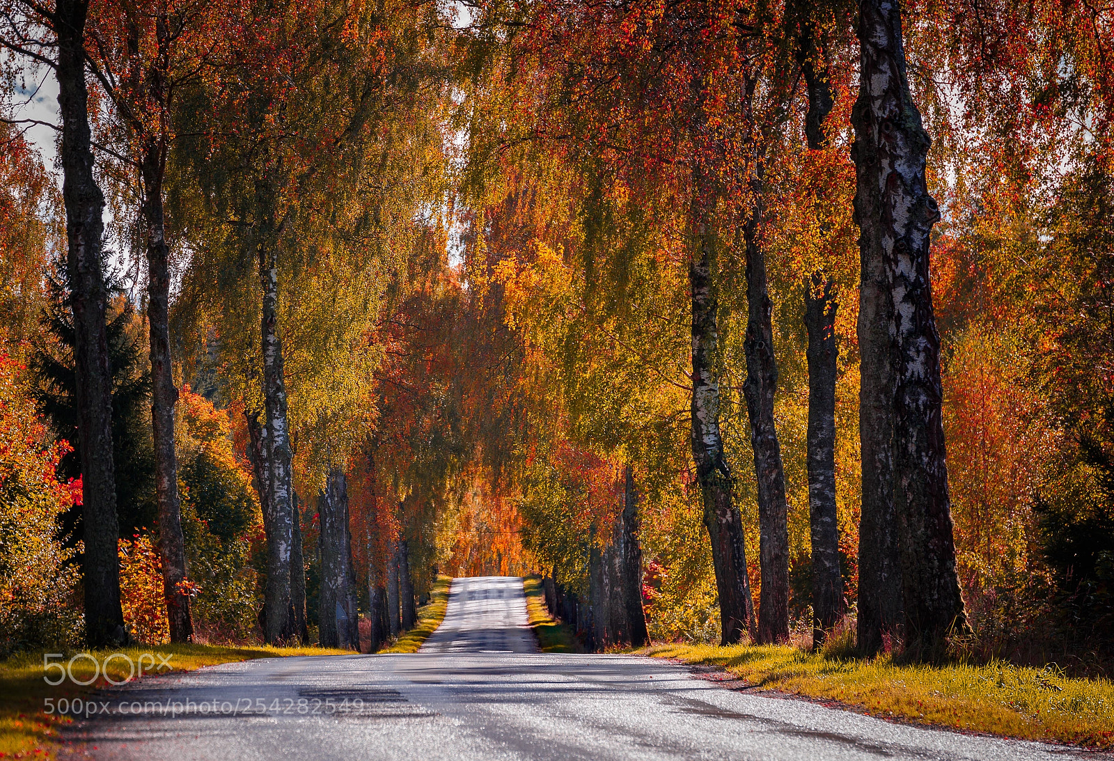 Canon EOS 6D Mark II sample photo. Old road photography