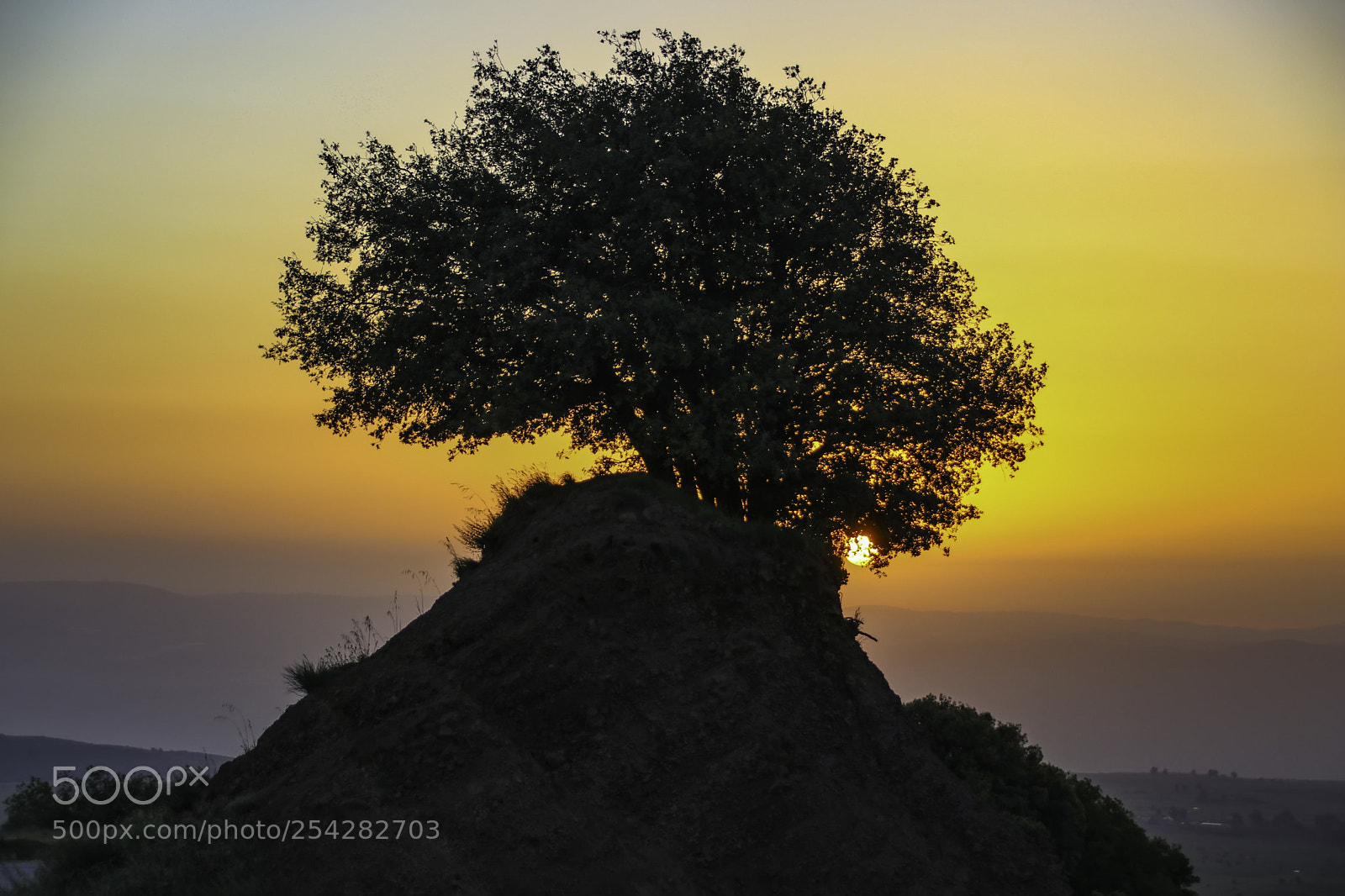Canon EOS 80D sample photo. Sunset. the sun shines photography