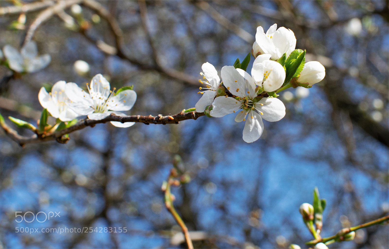 Nikon D3300 sample photo. At last....! photography