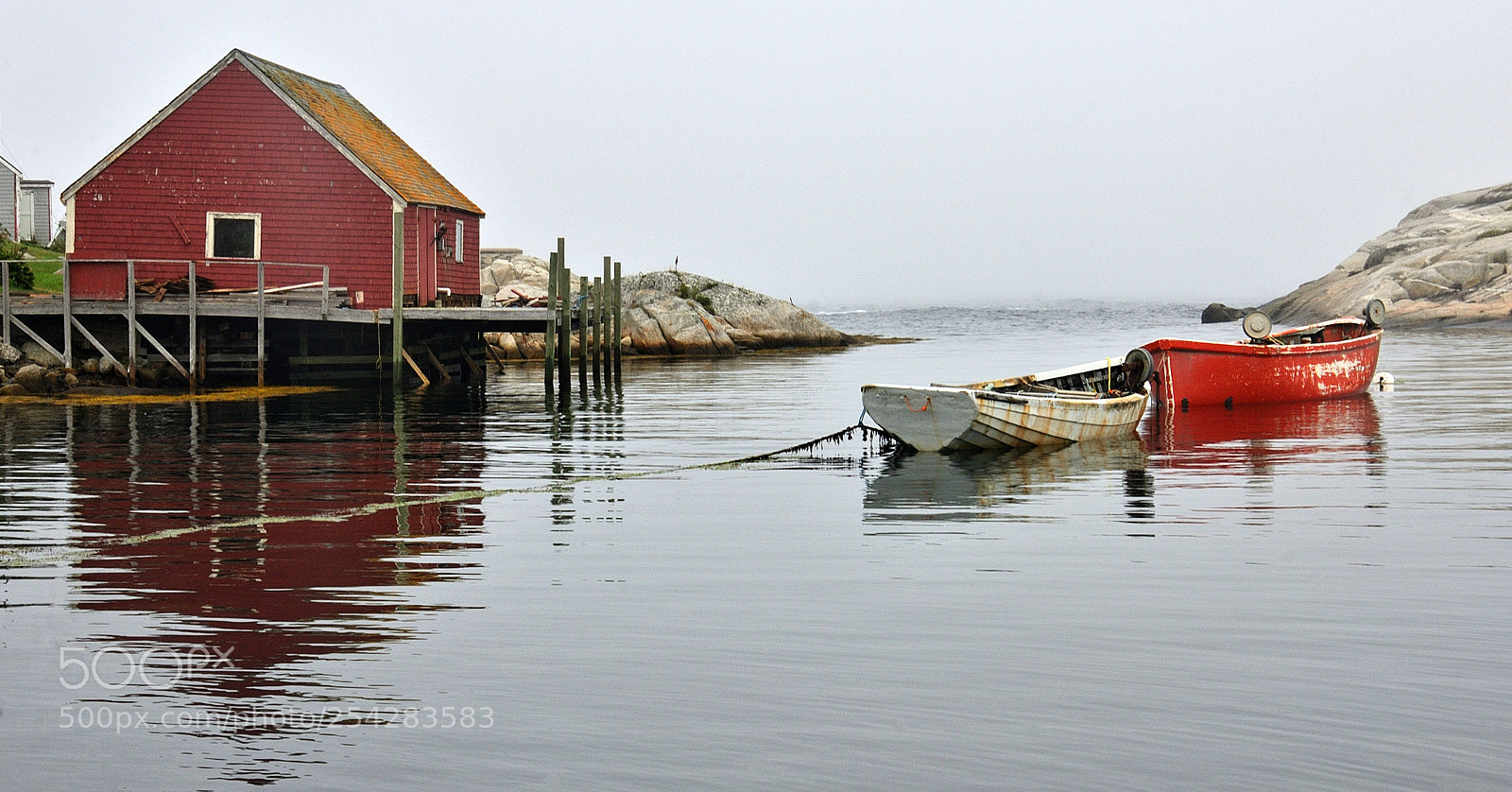 Nikon D7000 sample photo. Morning serenity at the photography