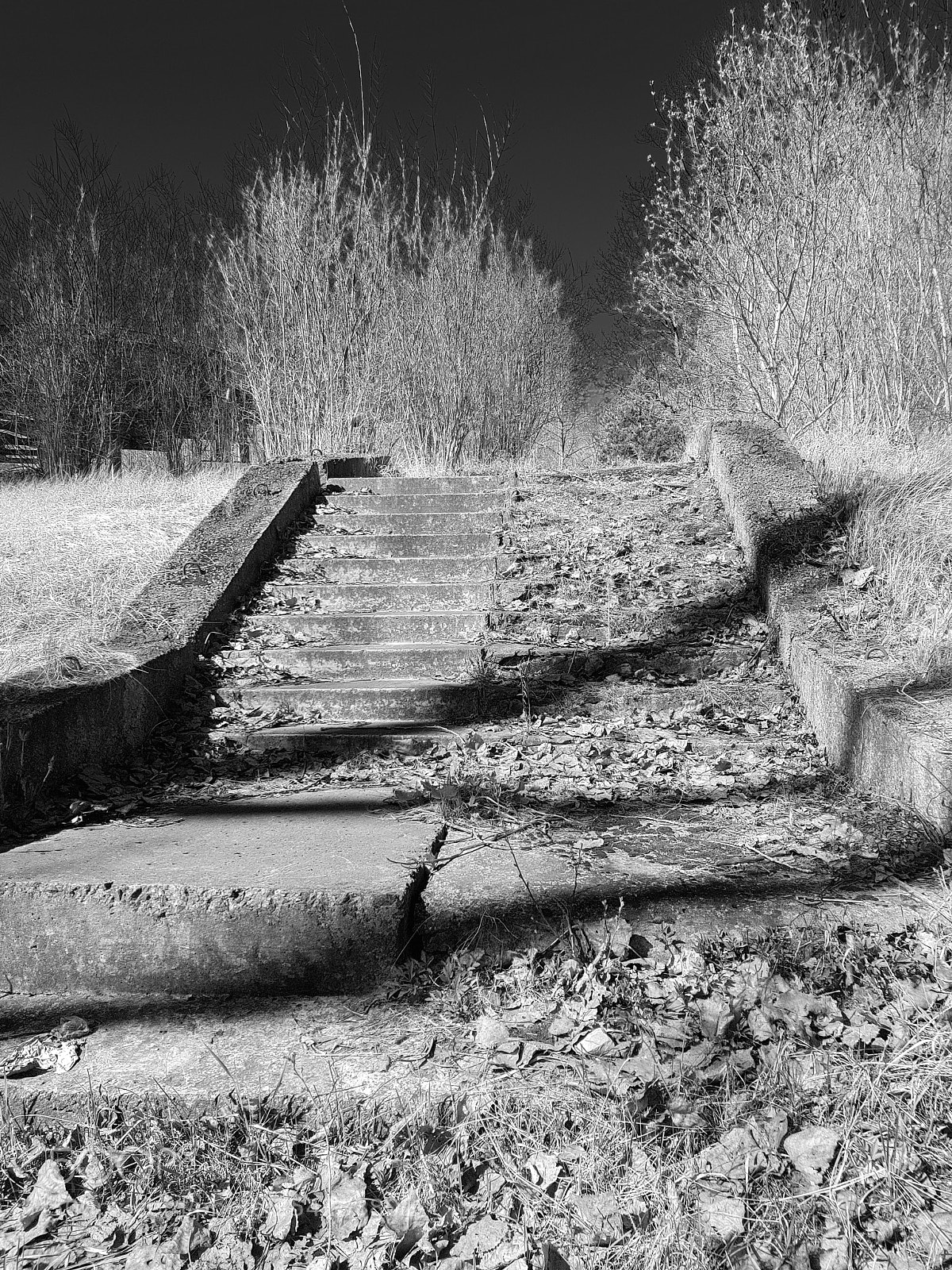 Samsung Galaxy S8 sample photo. Old stair photography