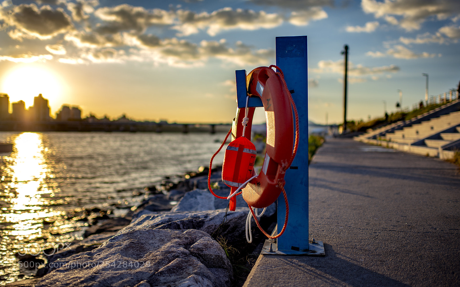 Nikon D610 sample photo. Untitled photography