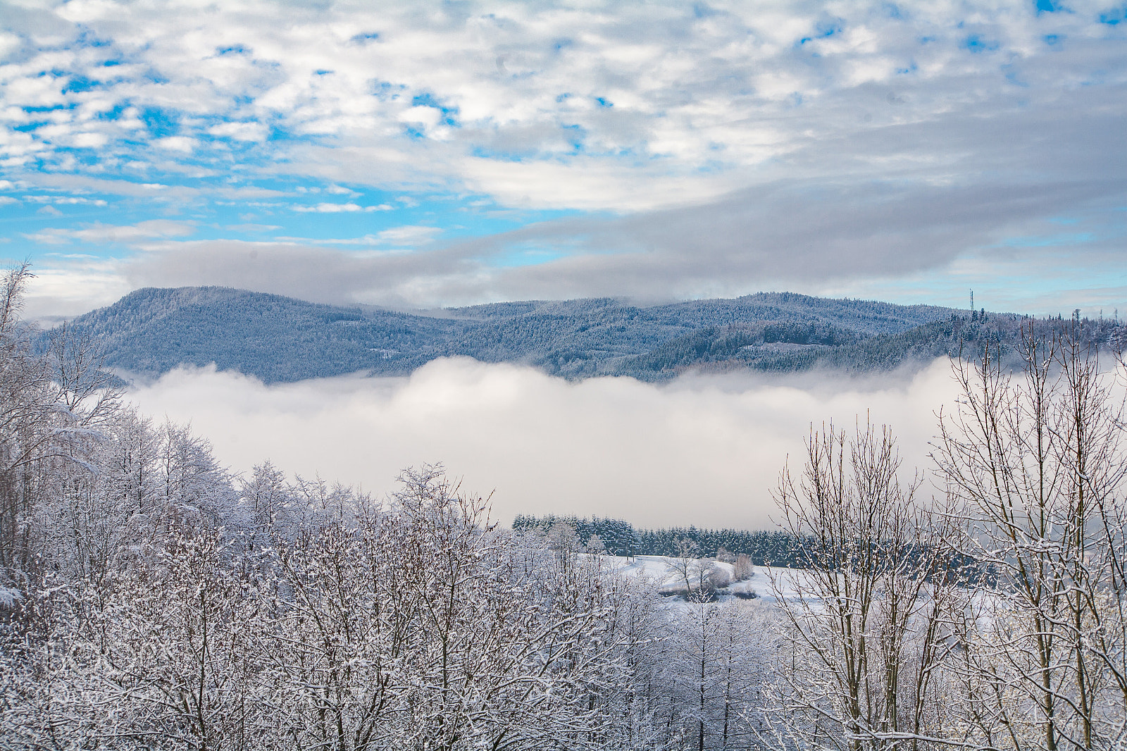Canon EOS 5D sample photo. Vue a rienne de photography