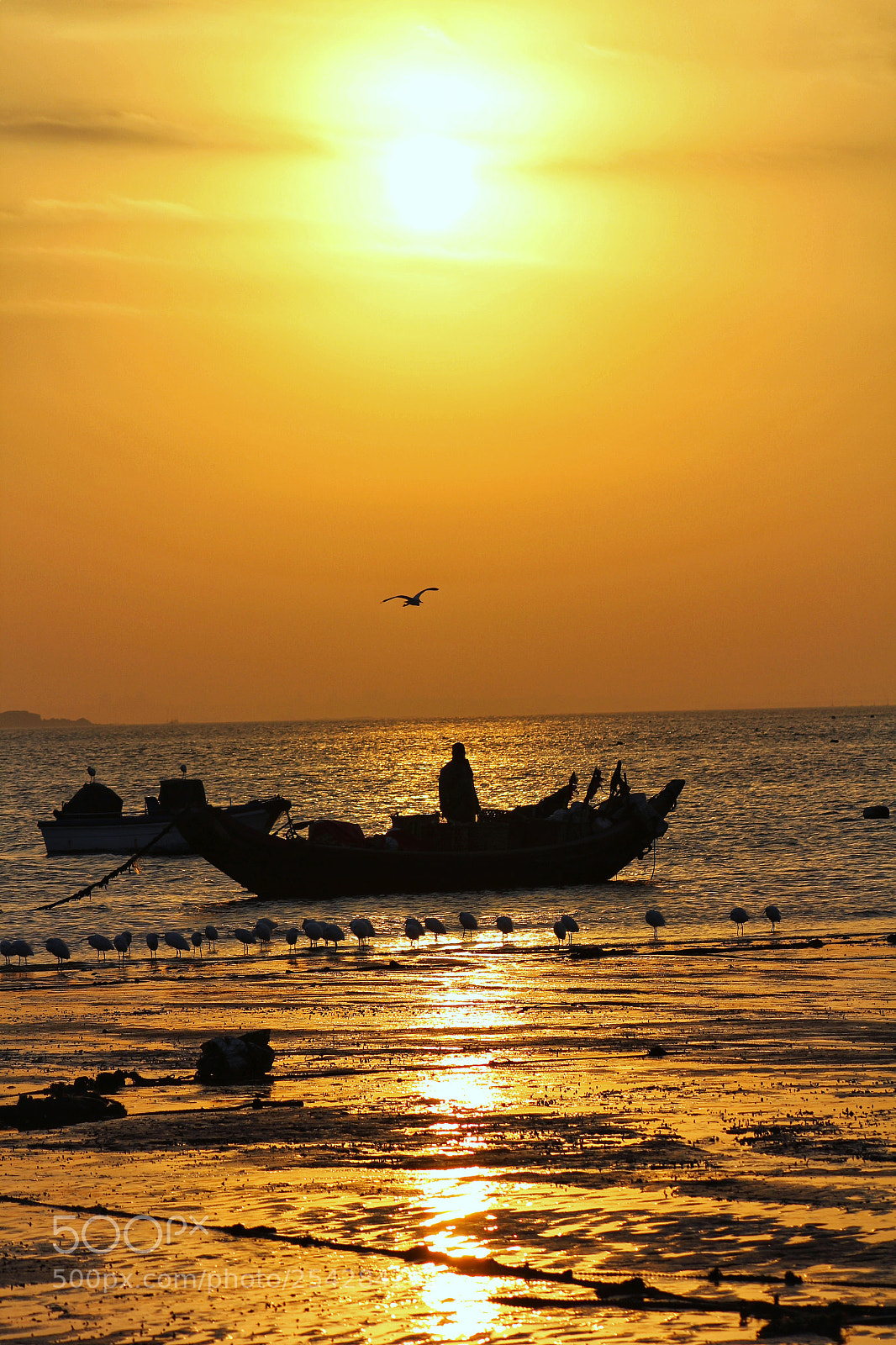 Canon EOS 60D sample photo. Sunrise at xiamen photography