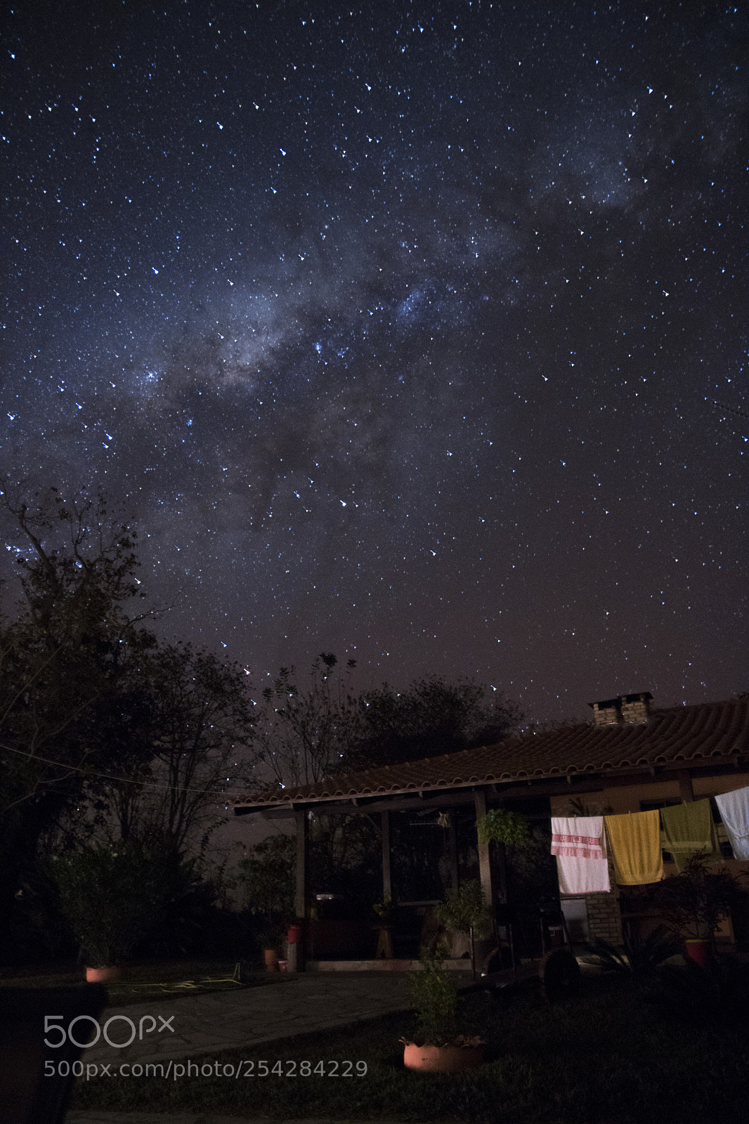 Canon EOS 750D (EOS Rebel T6i / EOS Kiss X8i) sample photo. My first attempt at photography