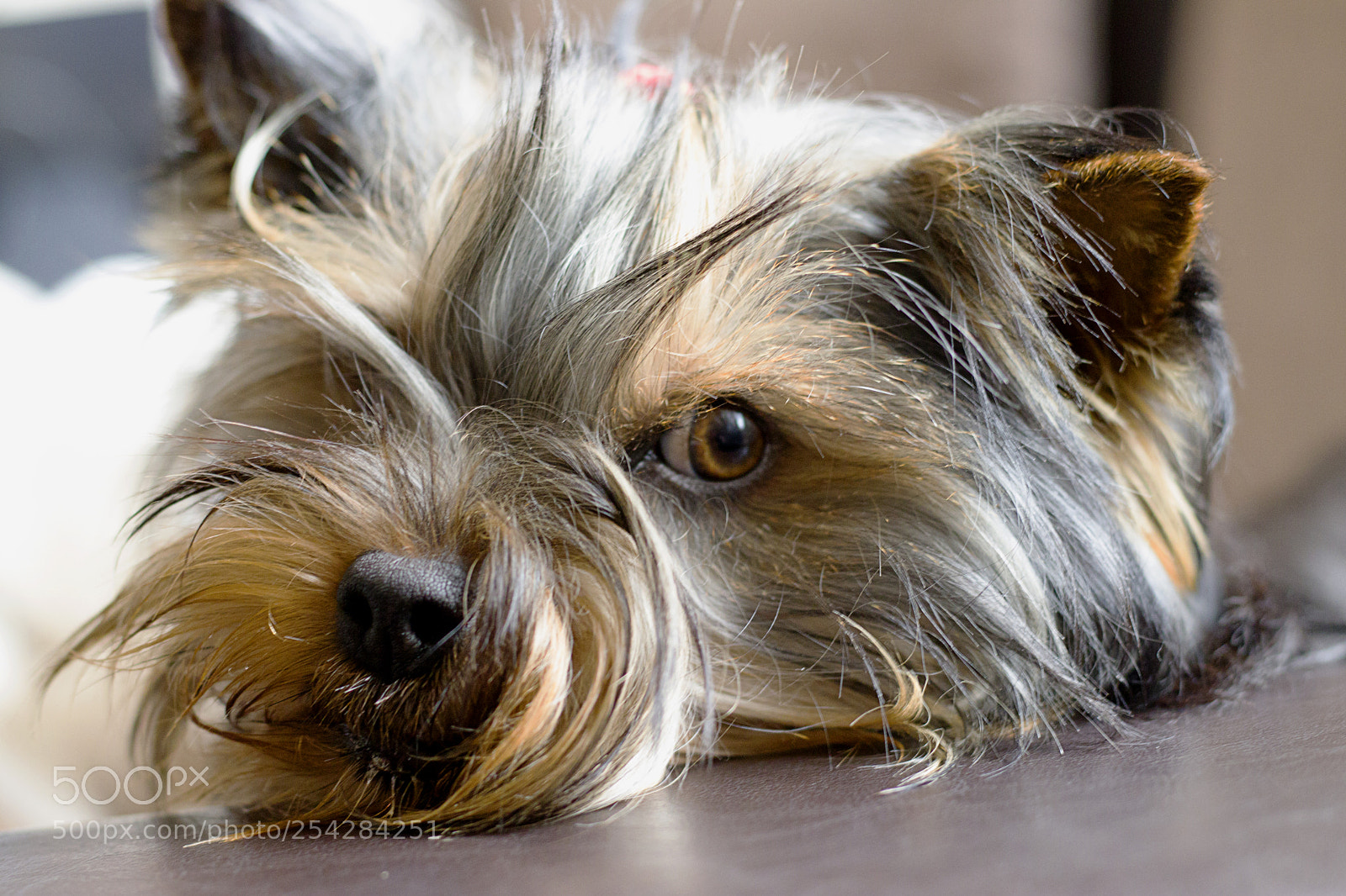 Canon EOS 80D sample photo. Can you stop the photography