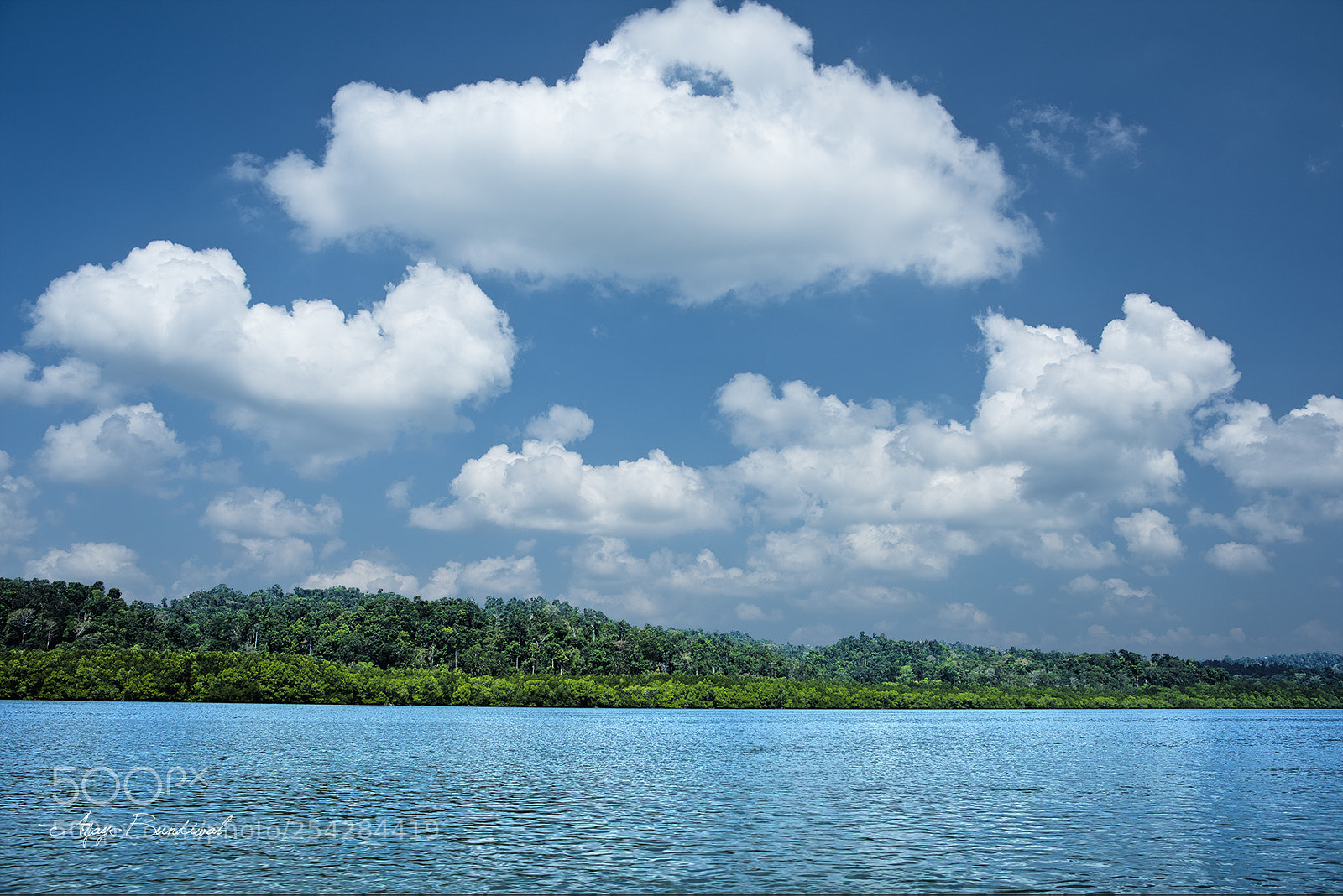 Nikon D810 sample photo. Havelock island photography