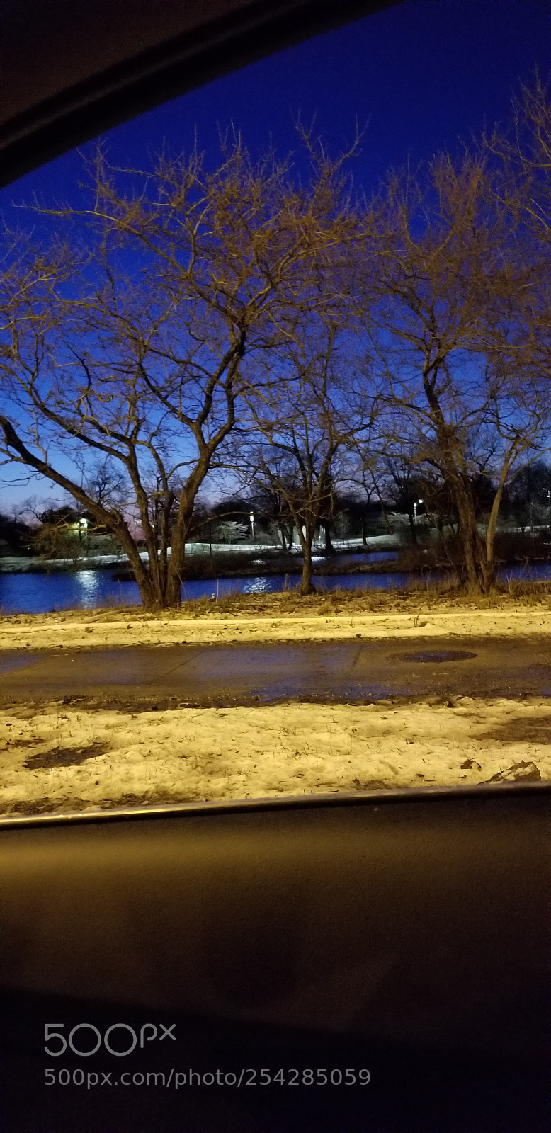 Samsung Galaxy S8+ sample photo. Untitled photography
