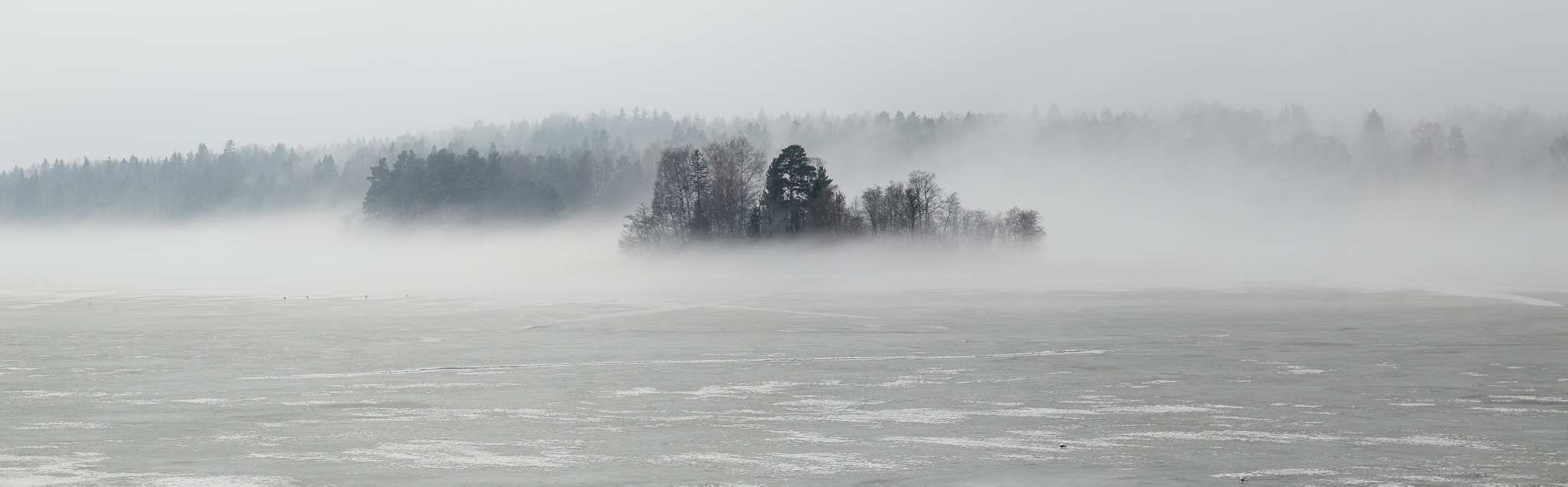 Canon EOS 7D Mark II sample photo. Wintery fog over the frozen bay photography
