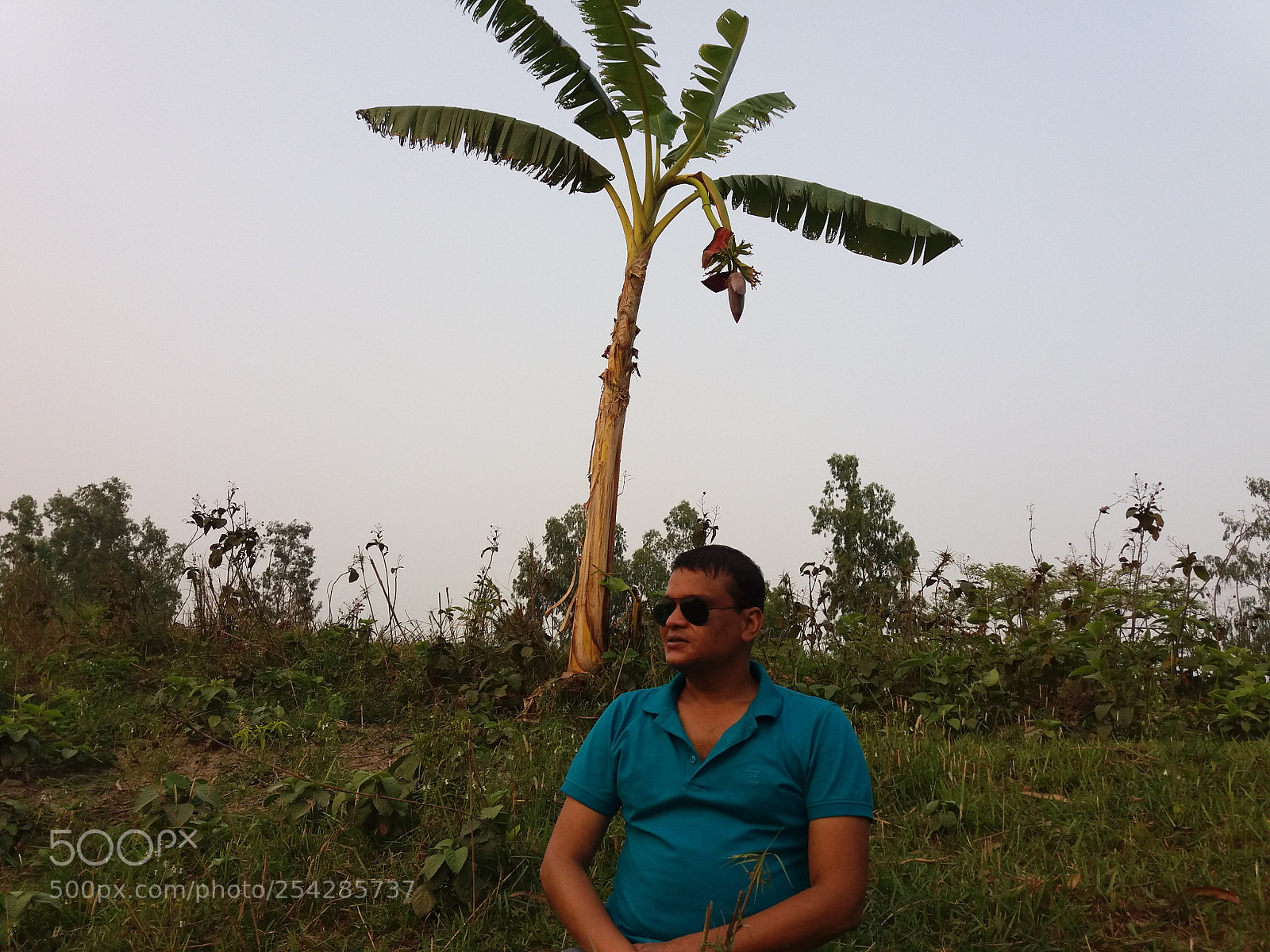 Samsung Galaxy J5 sample photo. Untitled photography