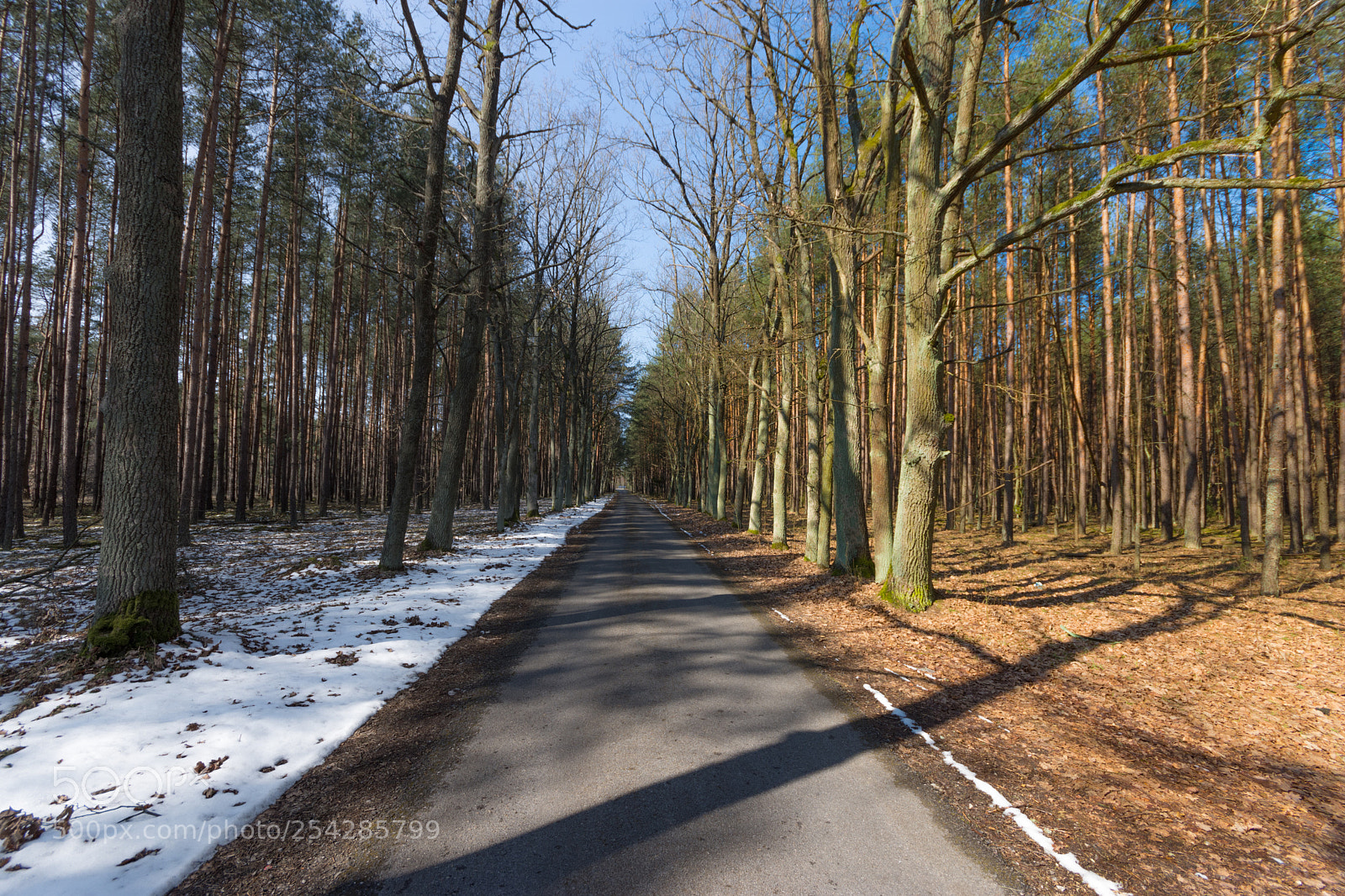 Nikon D7200 sample photo. The road between winter photography