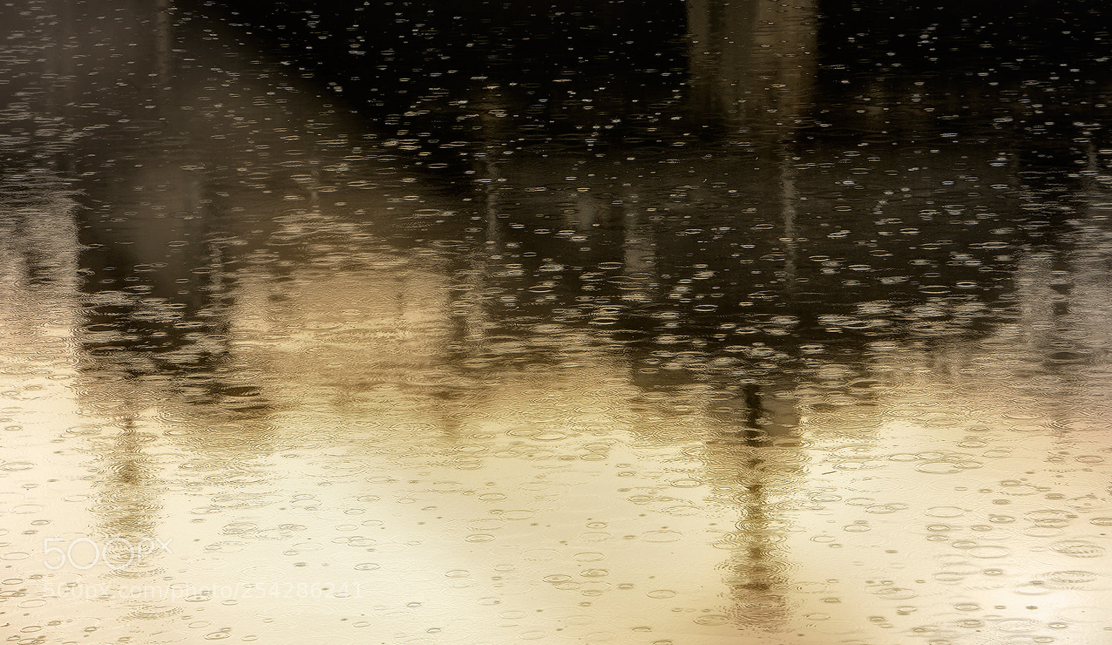 Canon EOS 70D sample photo. Tarde de lluvia photography