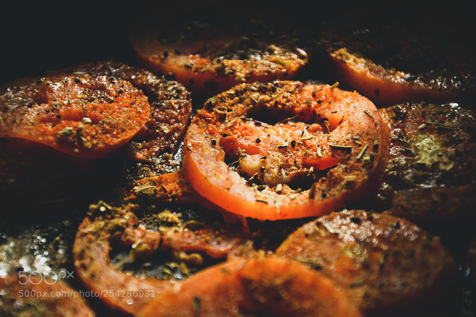 Nikon D3200 sample photo. Grilled tomatoes photography