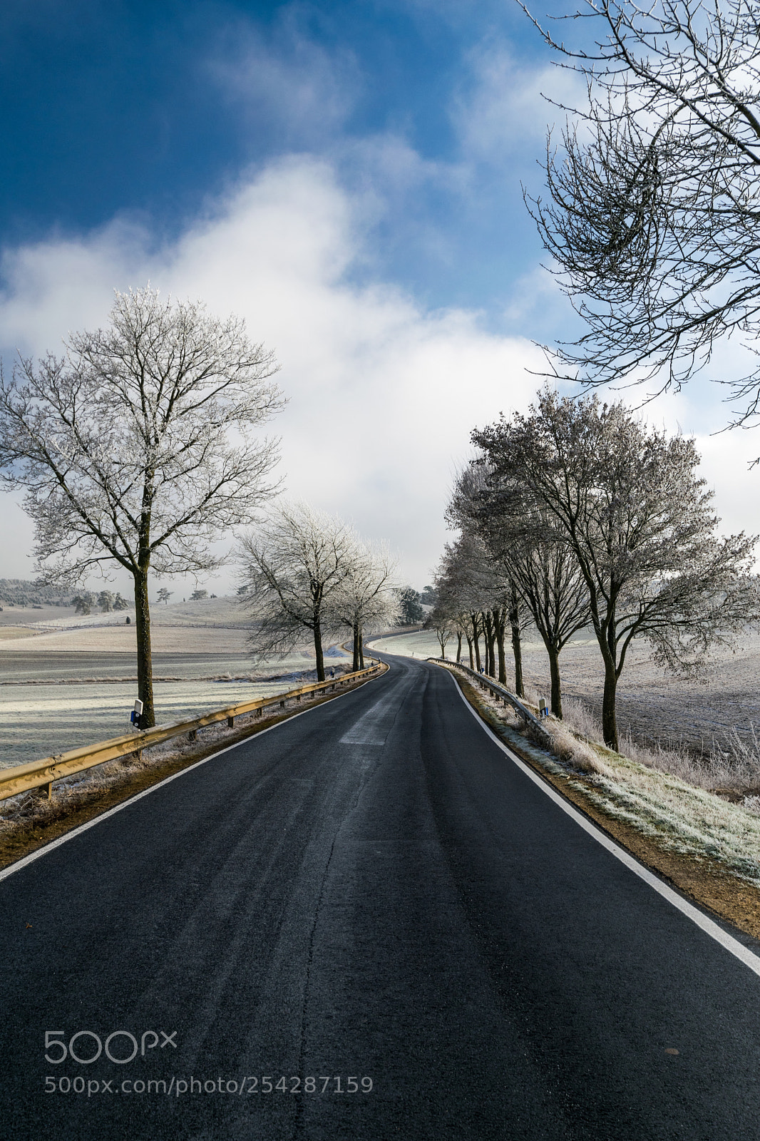 Nikon D5300 sample photo. Winter road with far photography