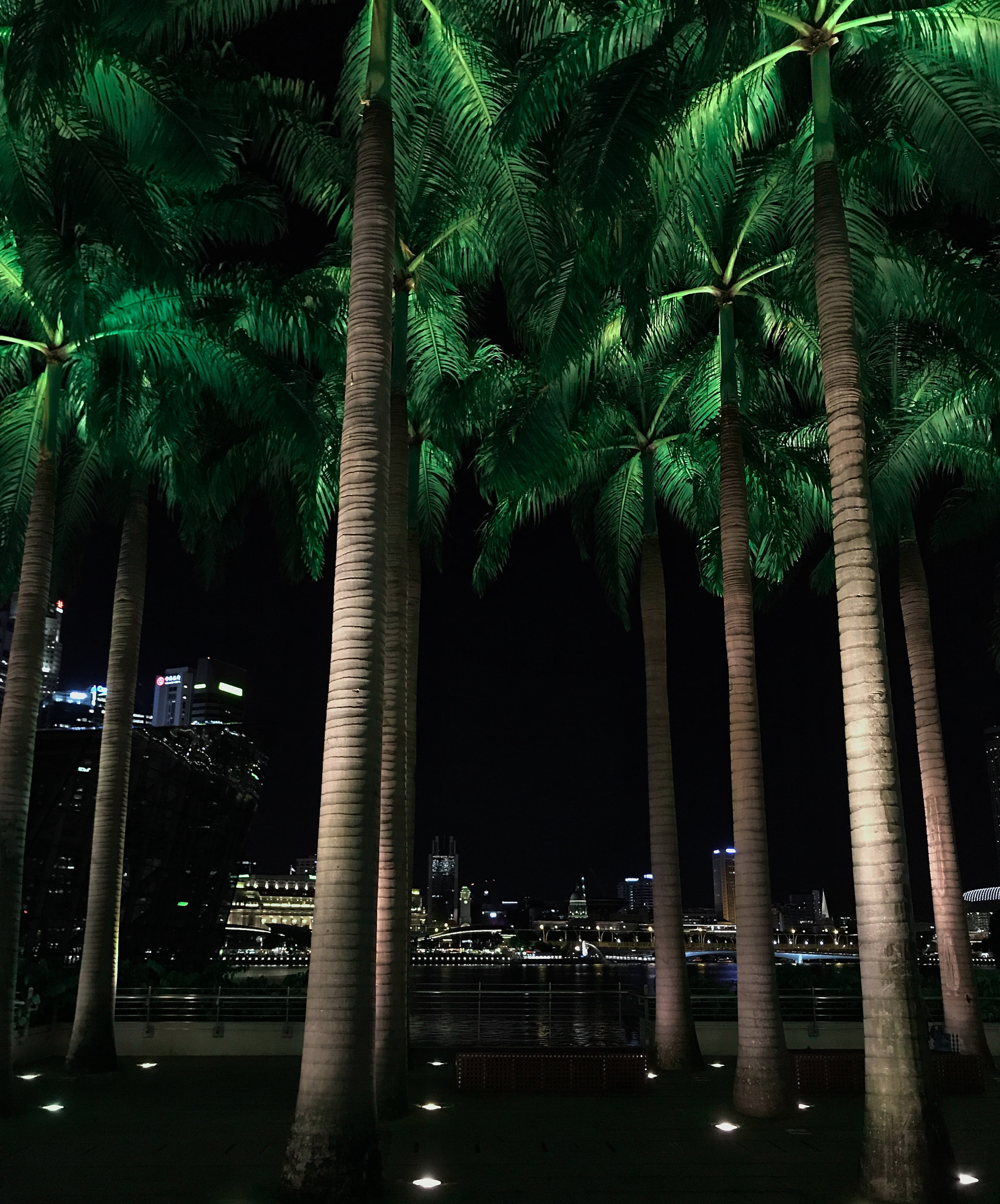 Apple iPad Pro (10.5-inch) sample photo. Palm alley photography