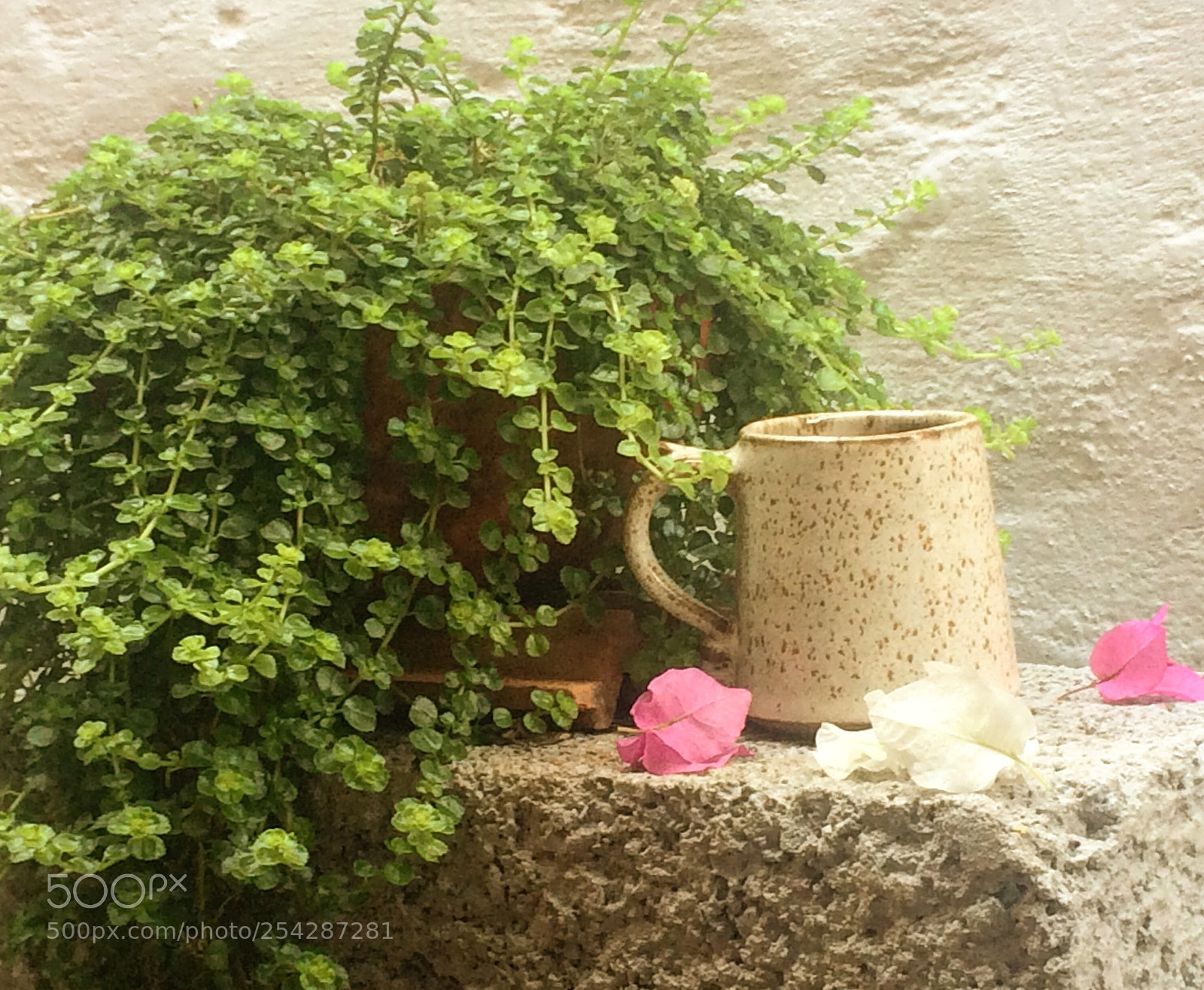 Apple iPhone 5s sample photo. Morning coffee in my photography
