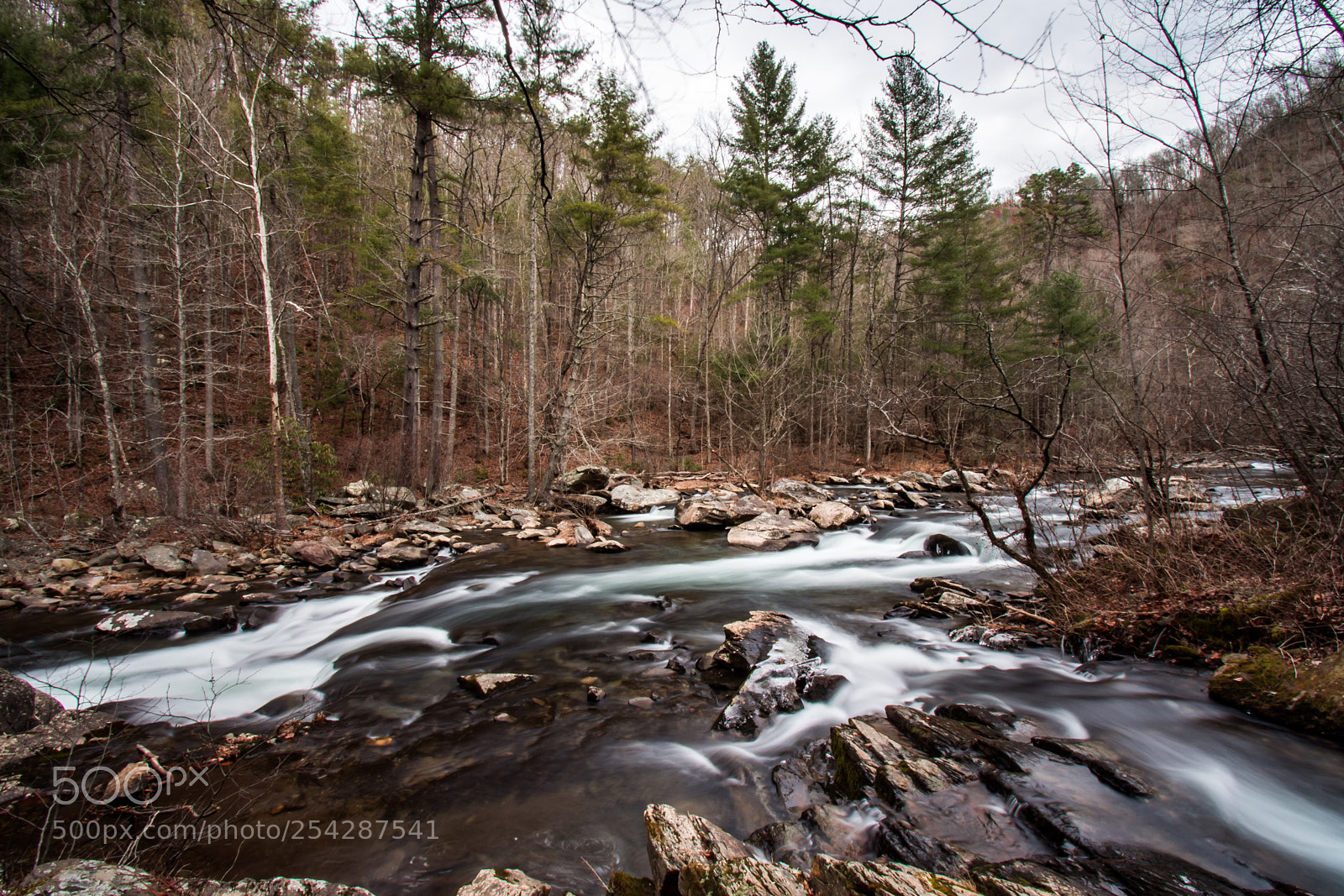 Nikon D7200 sample photo. Along the river 2 photography