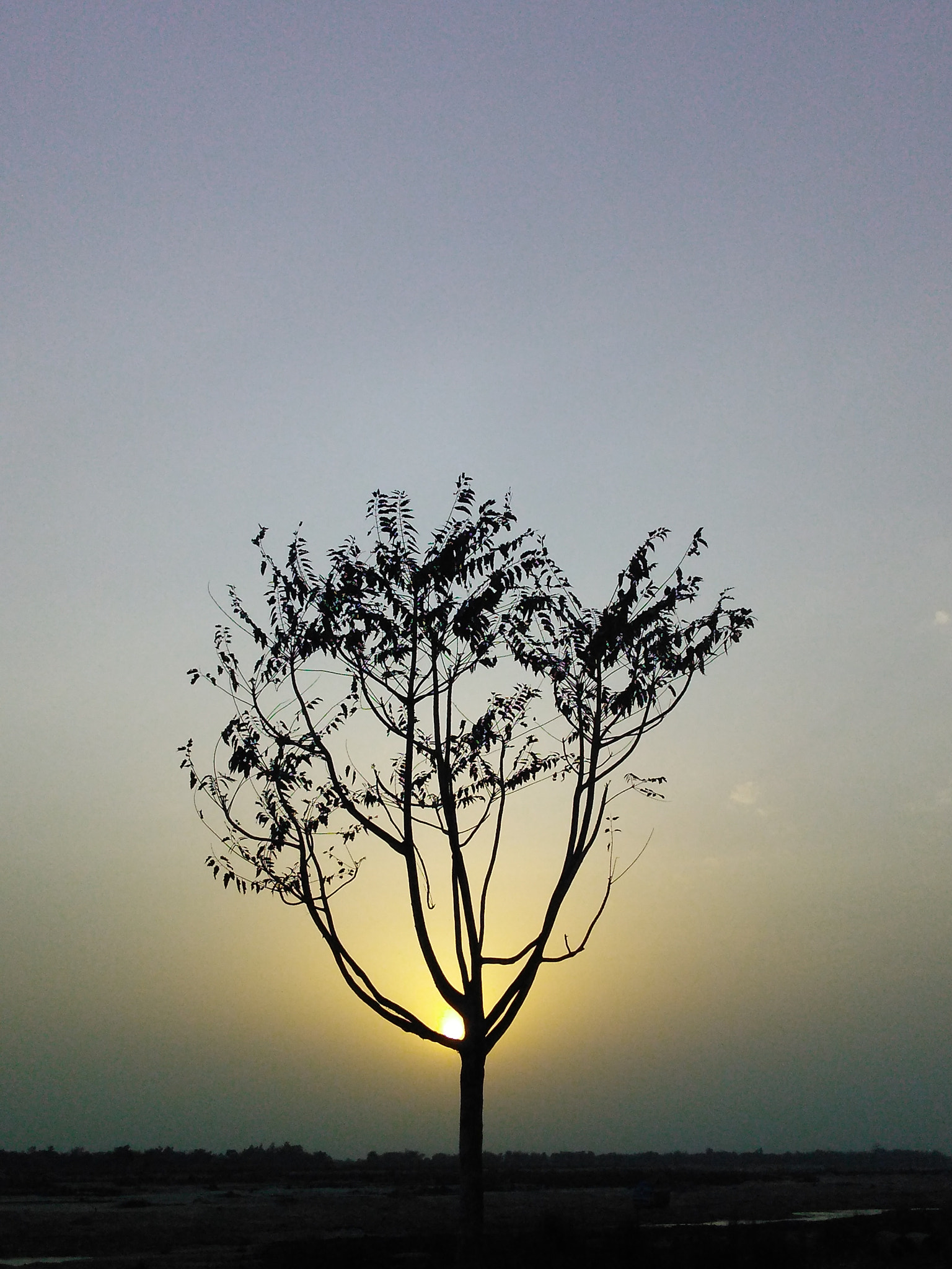 Motorola Moto G Play sample photo
