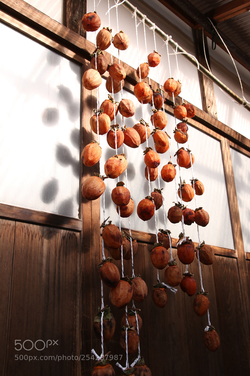 Canon EOS 70D sample photo. 暮らし - 冬 photography